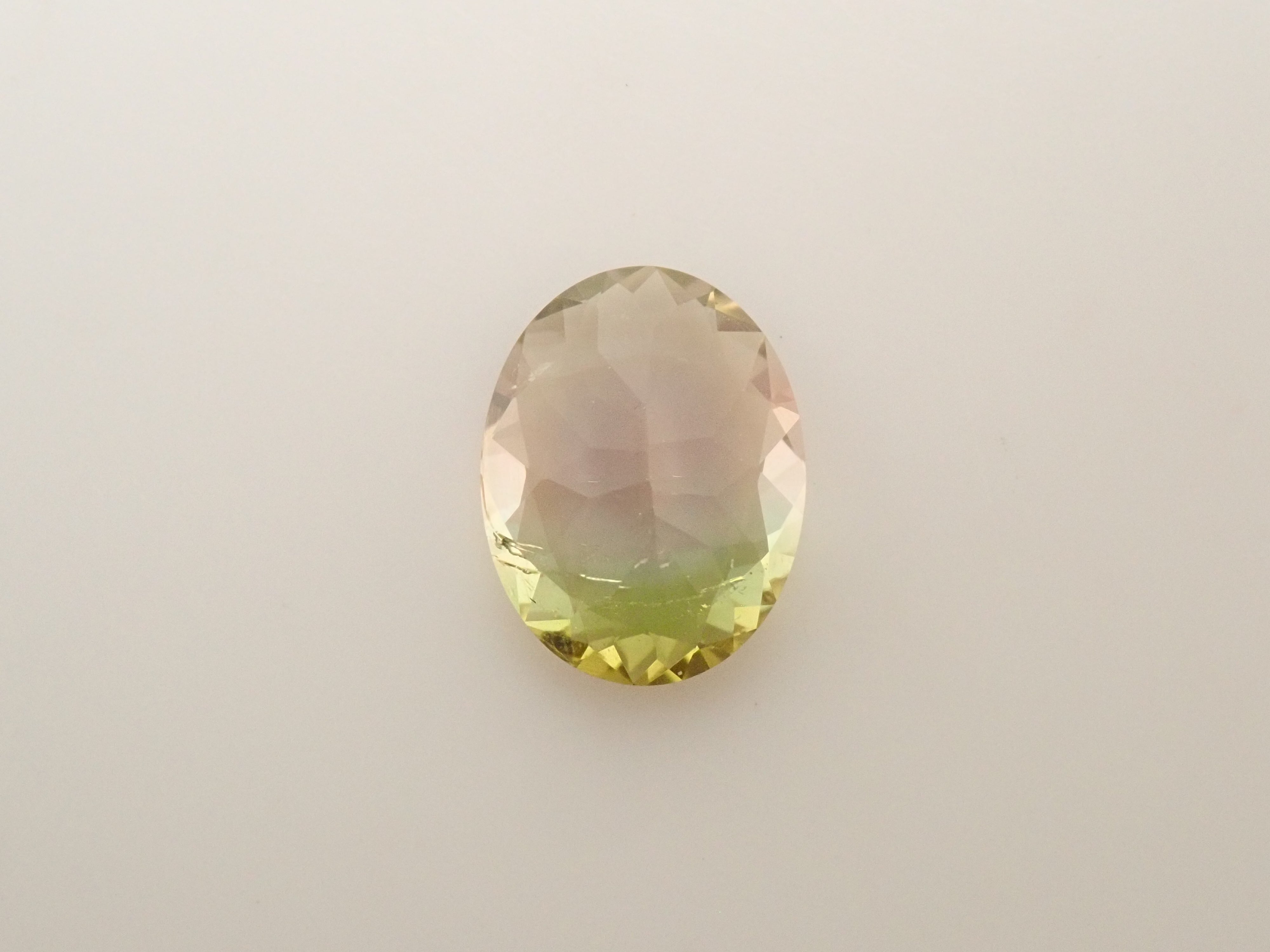 【12562822掲載】ブラジル産バイカラートルマリン 0.780ctルース