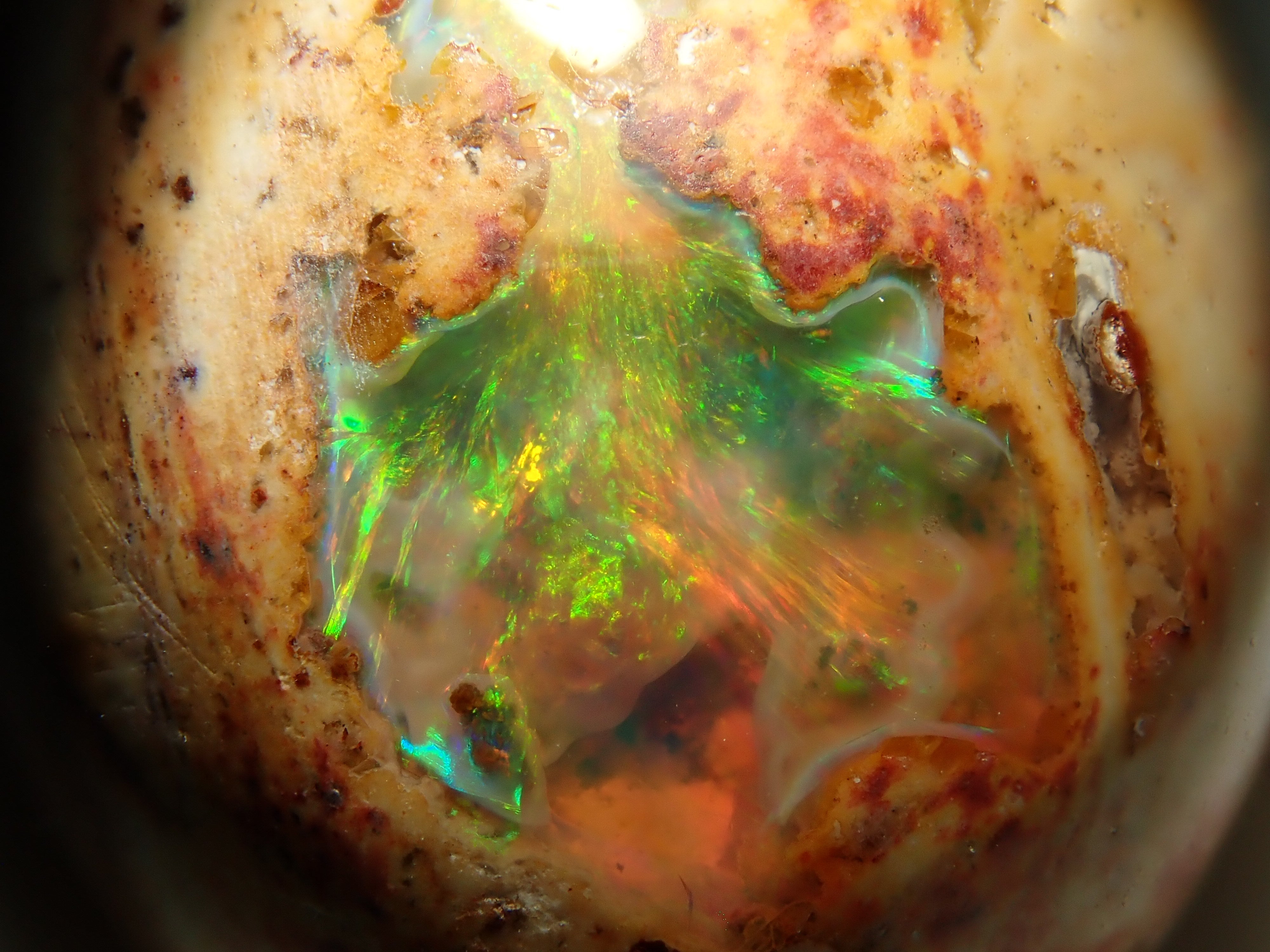 【12562847掲載】カンテラオパール 17.284ctルース