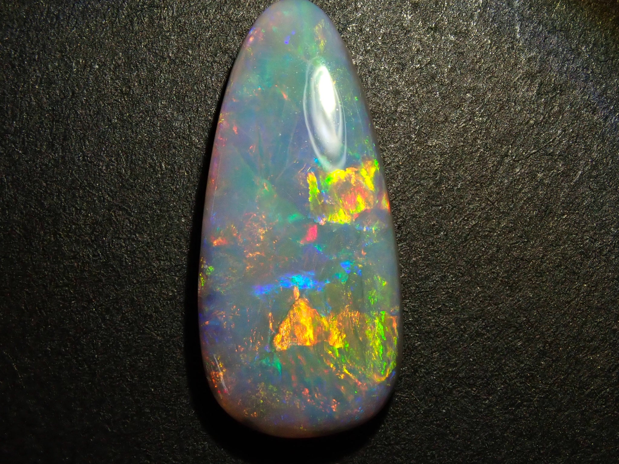 P6272516_172875be-d989-41b7-  