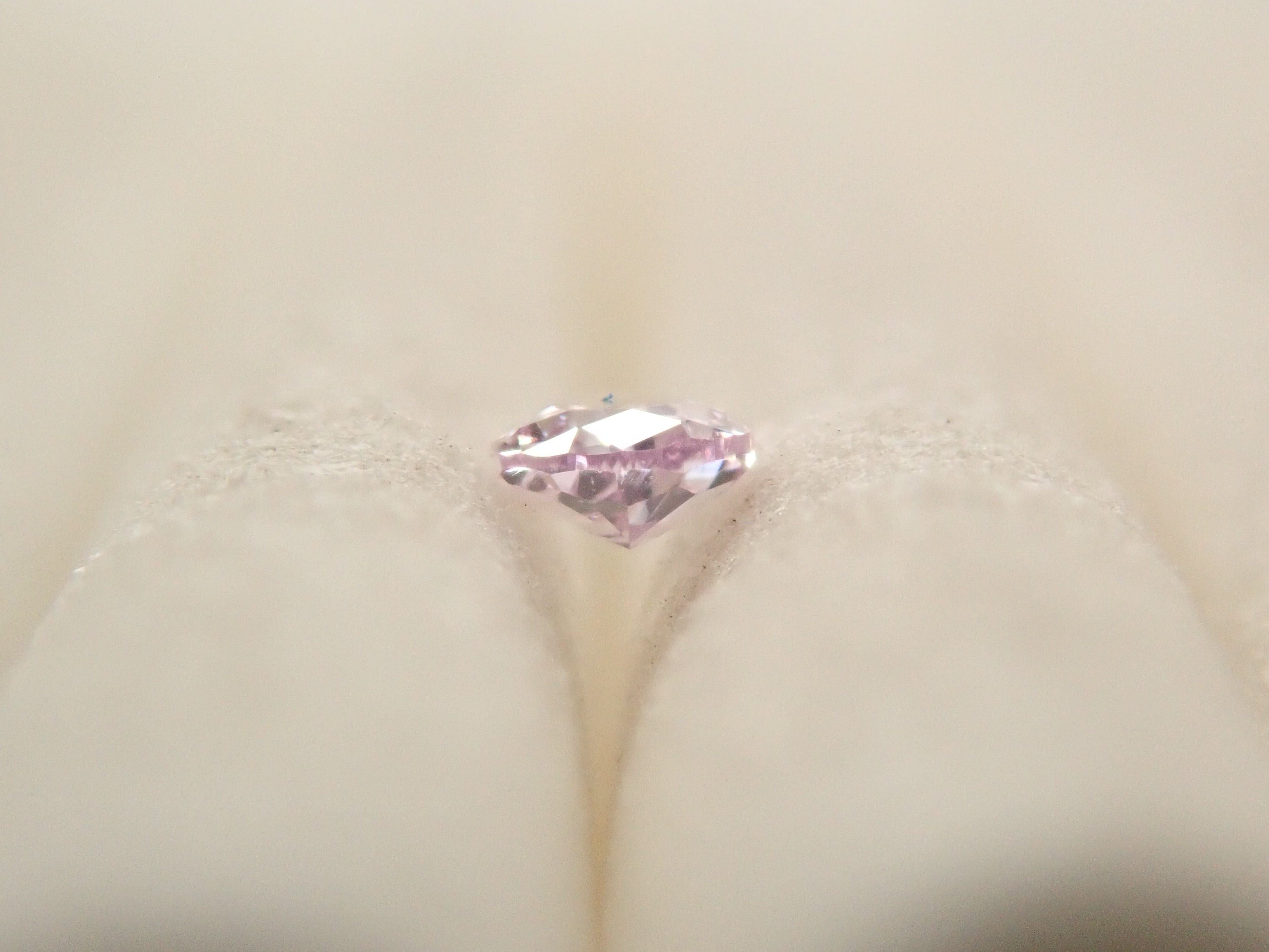 パープルダイヤモンド 0.041ctルース(FANCY PINK PURPLE, SI2)