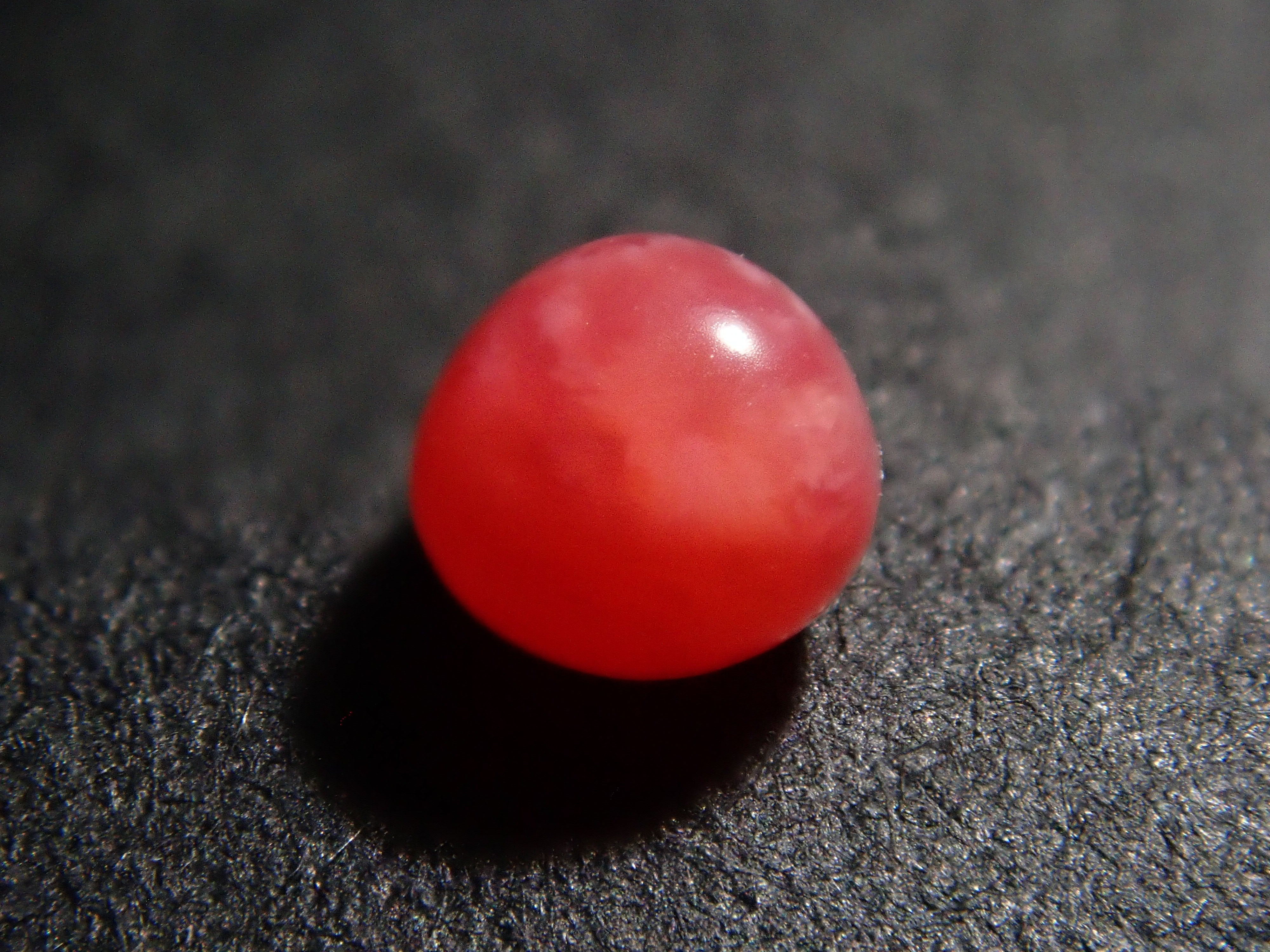 【12559635掲載】ドミニカ共和国産コンクパール(火焔模様有り) 0.207ctルース