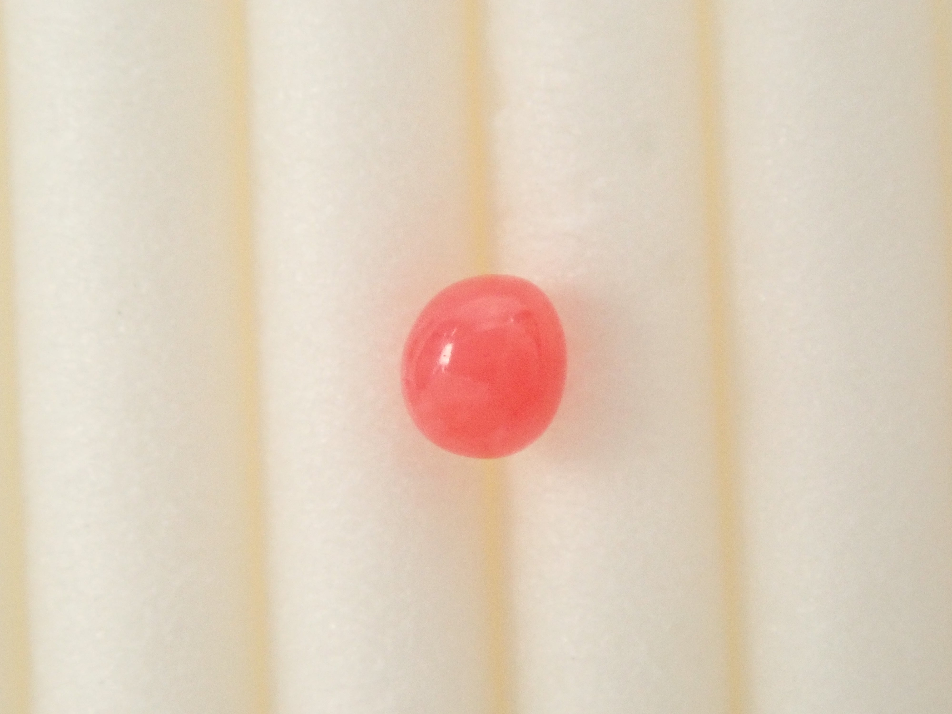 【12559635掲載】ドミニカ共和国産コンクパール(火焔模様有り) 0.207ctルース