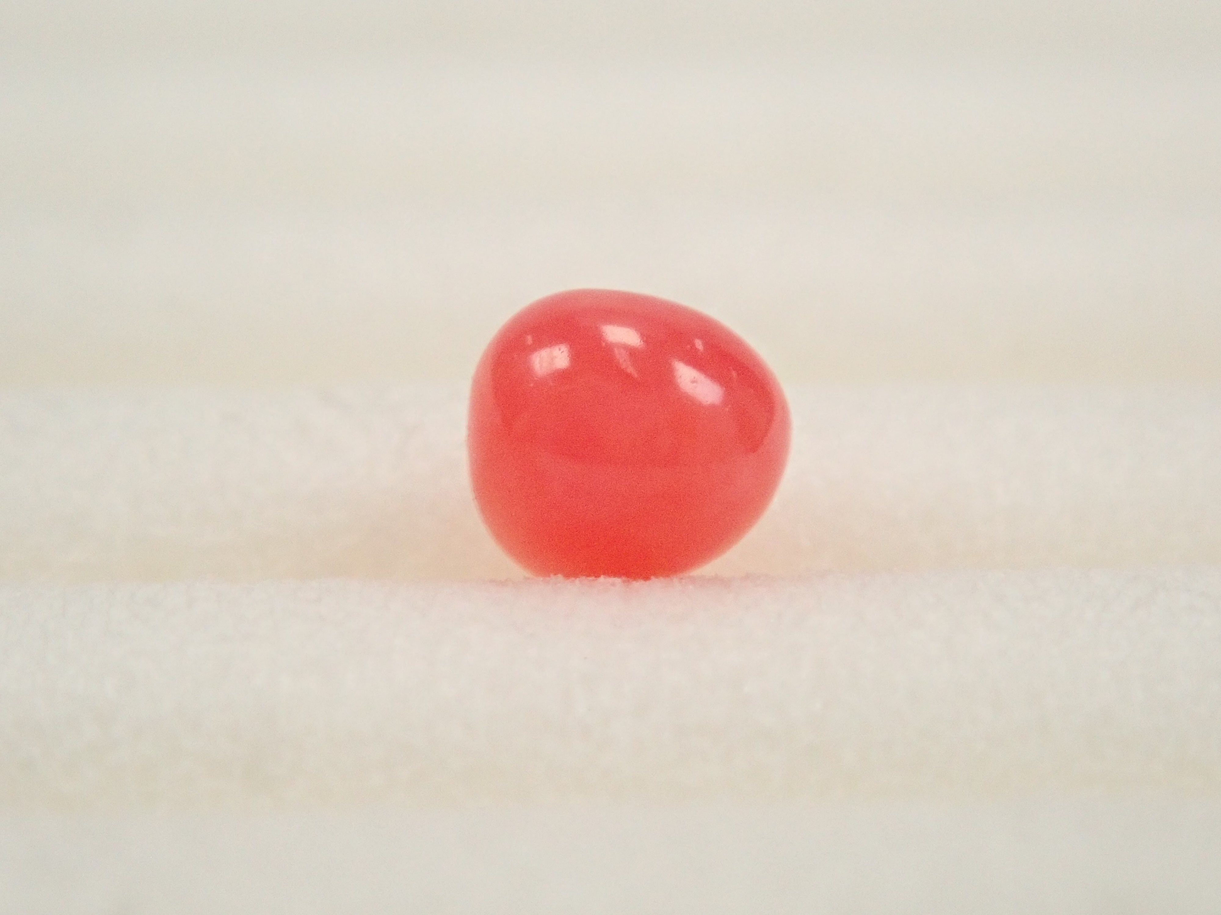 【12559635掲載】ドミニカ共和国産コンクパール(火焔模様有り) 0.207ctルース