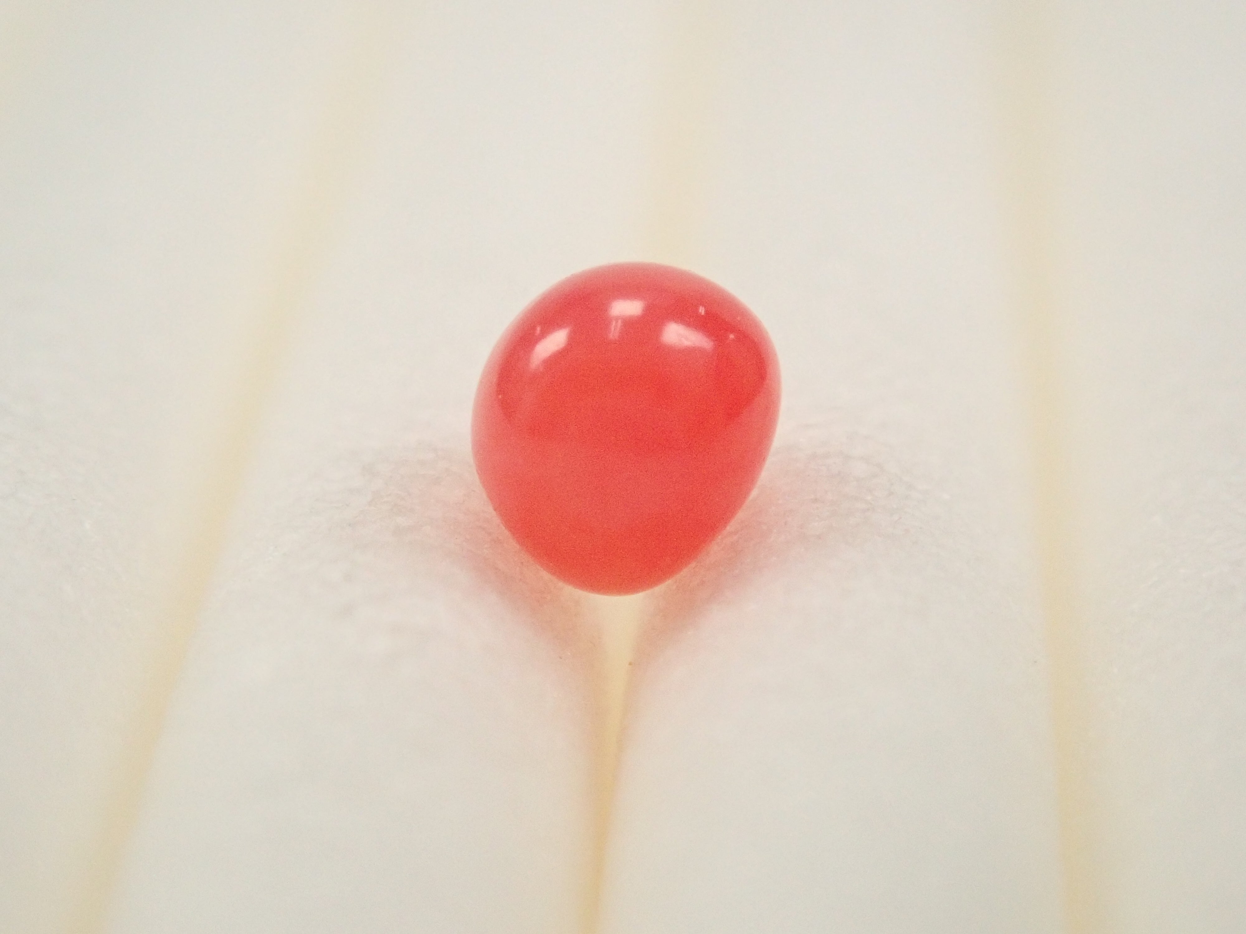 【12559635掲載】ドミニカ共和国産コンクパール(火焔模様有り) 0.207ctルース