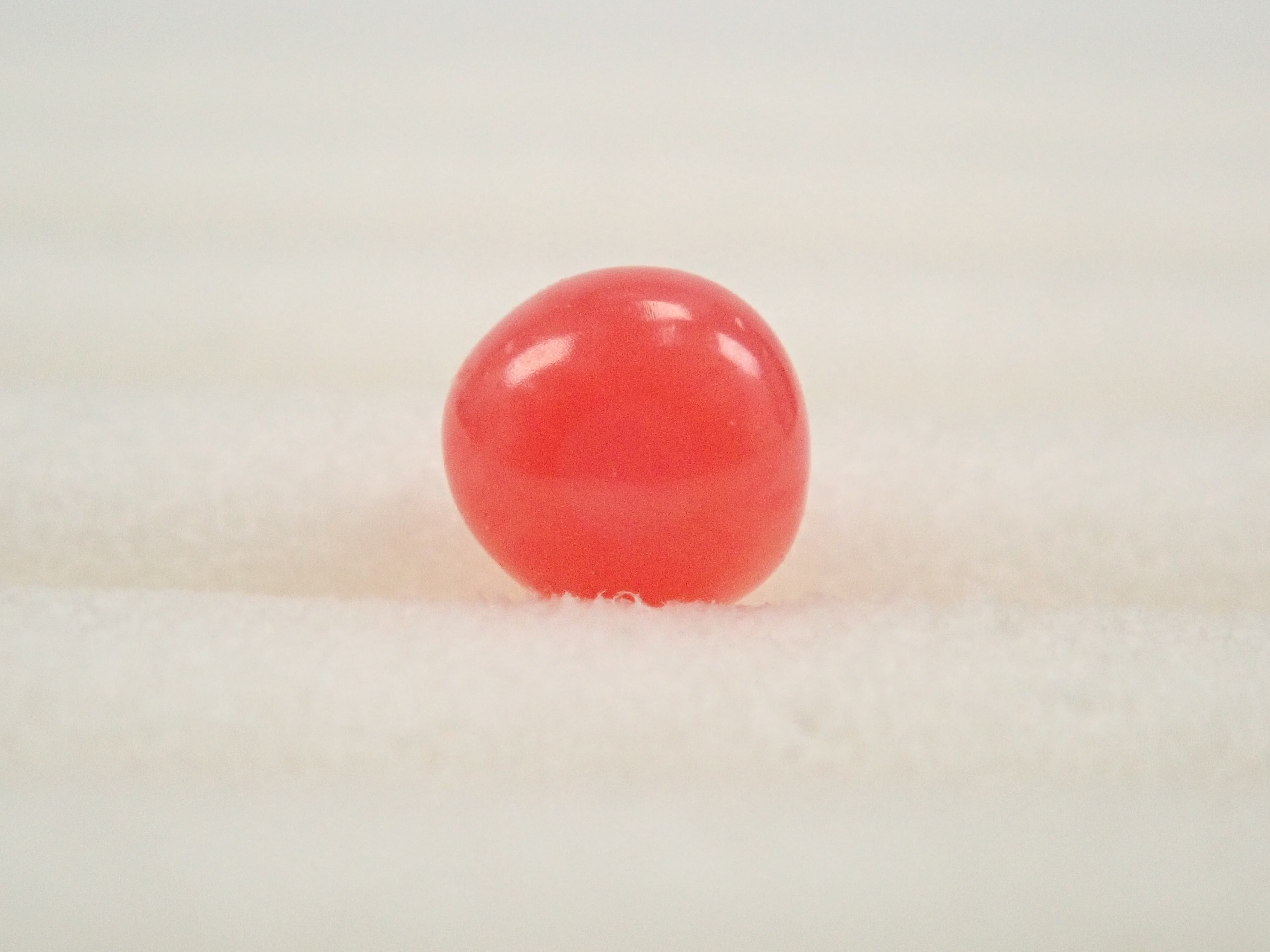 【12559635掲載】ドミニカ共和国産コンクパール(火焔模様有り) 0.207ctルース