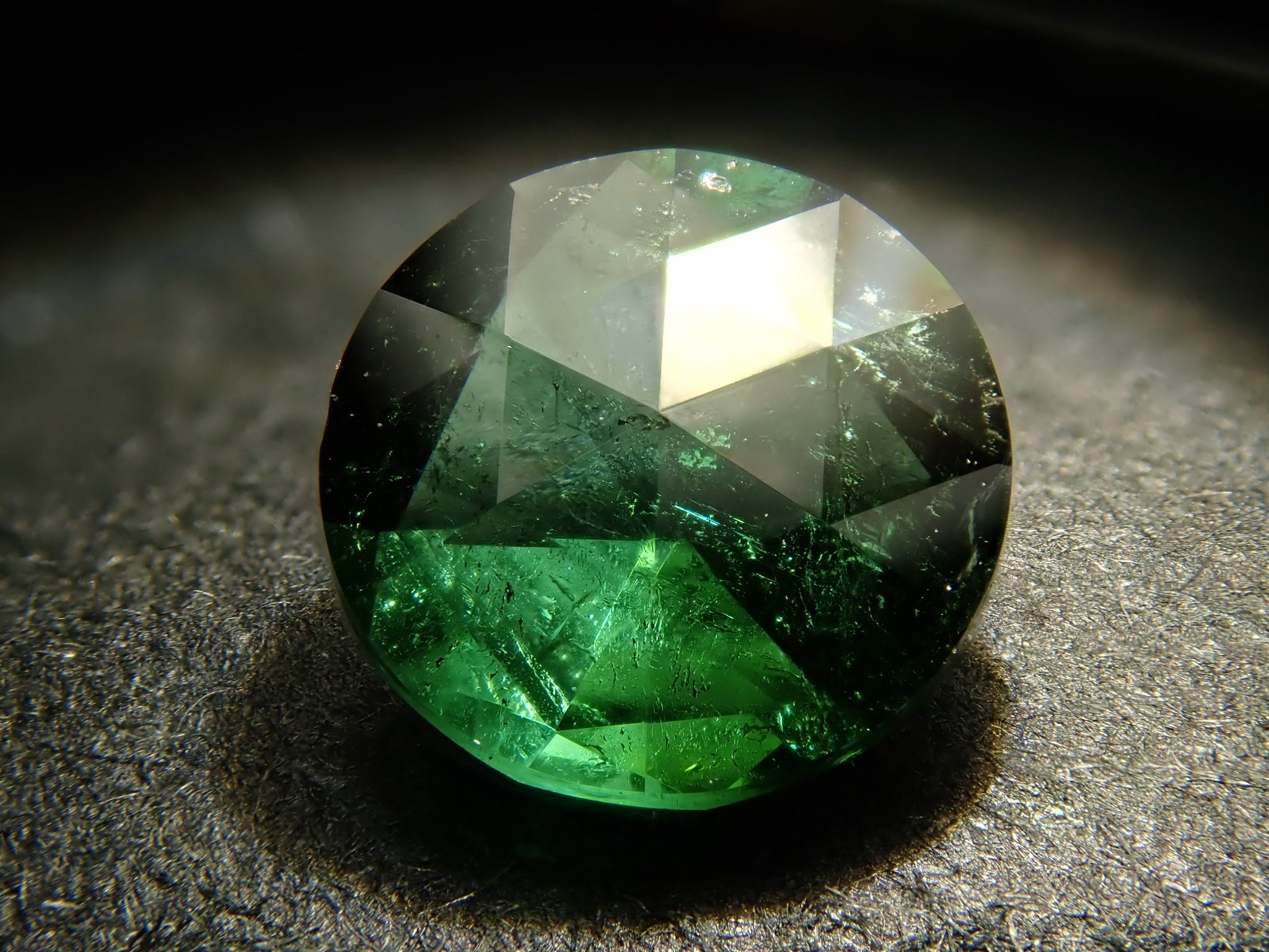 P8230543_5d6d56b5-7b02-4c34-  