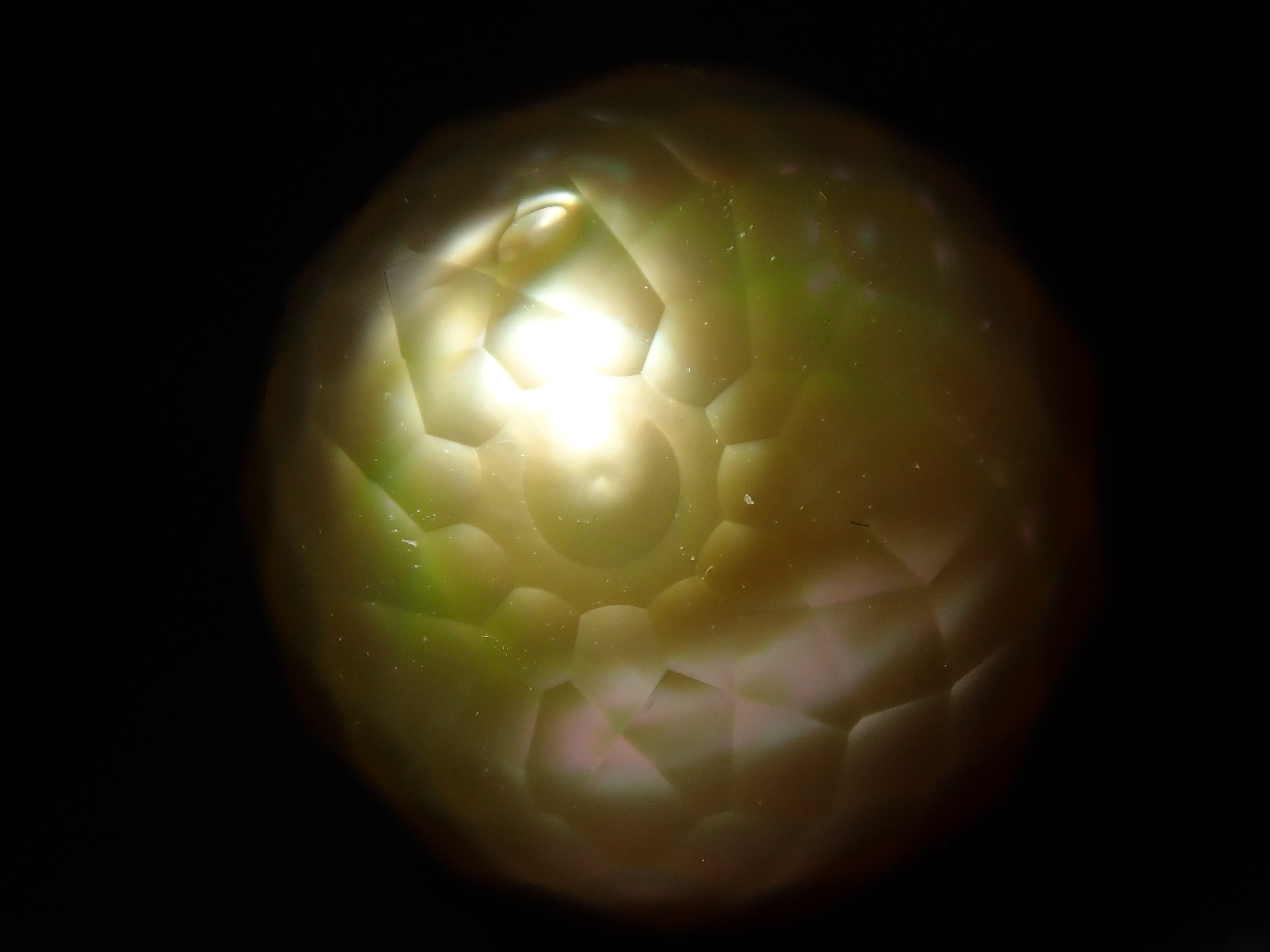 華真珠(南洋真珠) 13.962ctルース