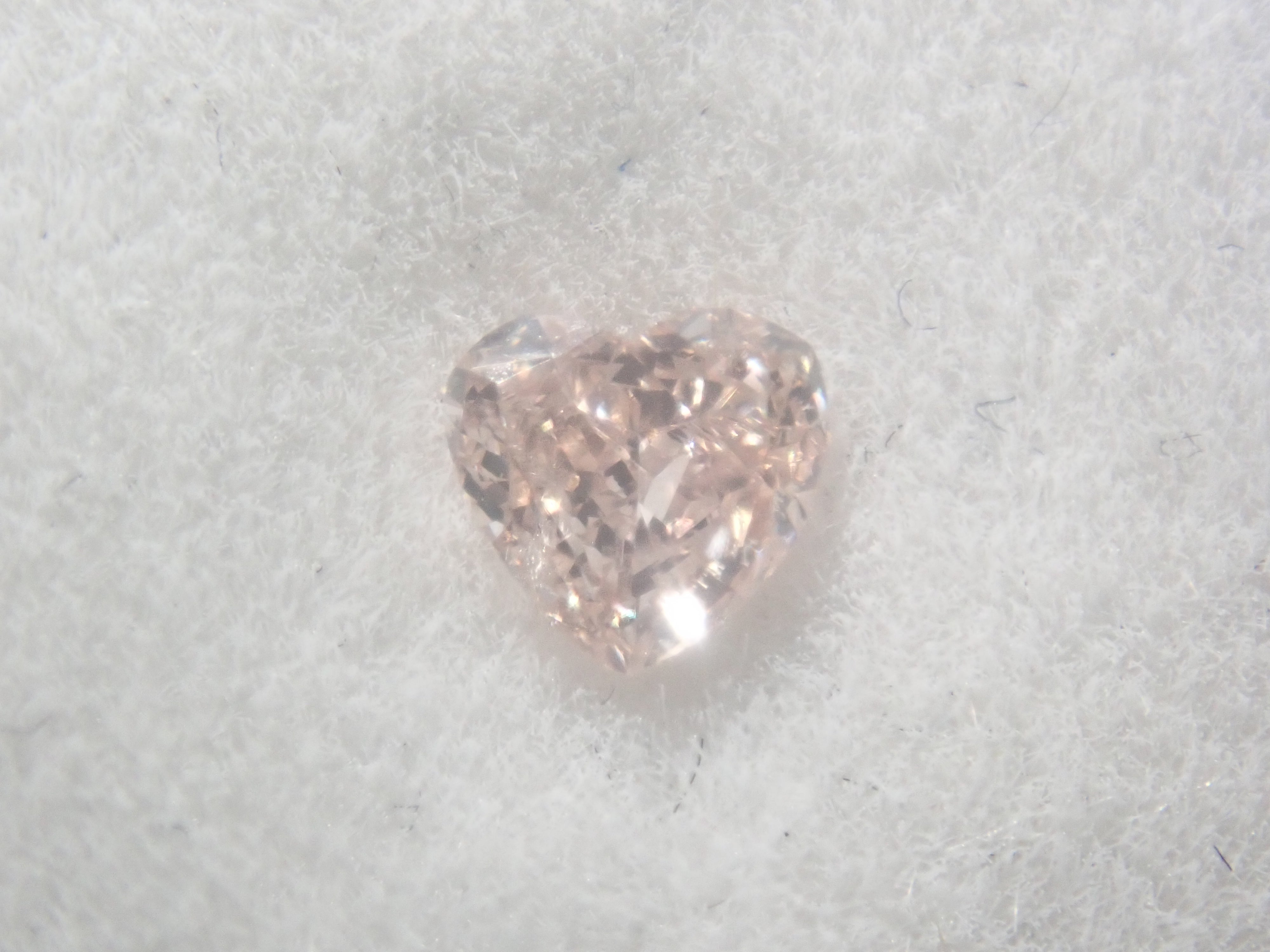 粉紅鑽寶盒💎 0.188克拉艷彩橙粉紅鑽及其他艷彩粉紅鑽(所有鑽石均已分類或認證)《多買有優惠》