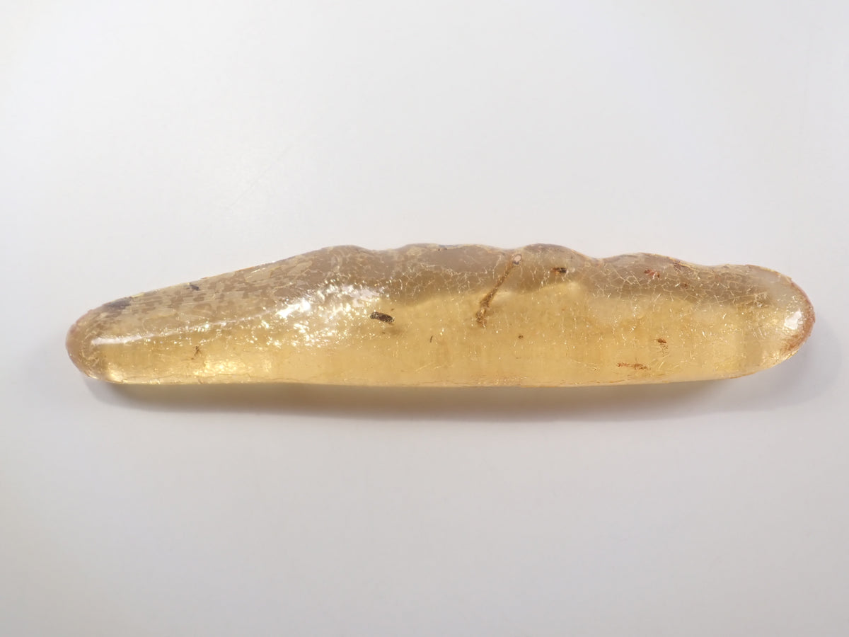 【9/23 22時販売】《限定1石》複数の虫入り 琥珀(こはく)/コパル97.64ct・約10cm 標本