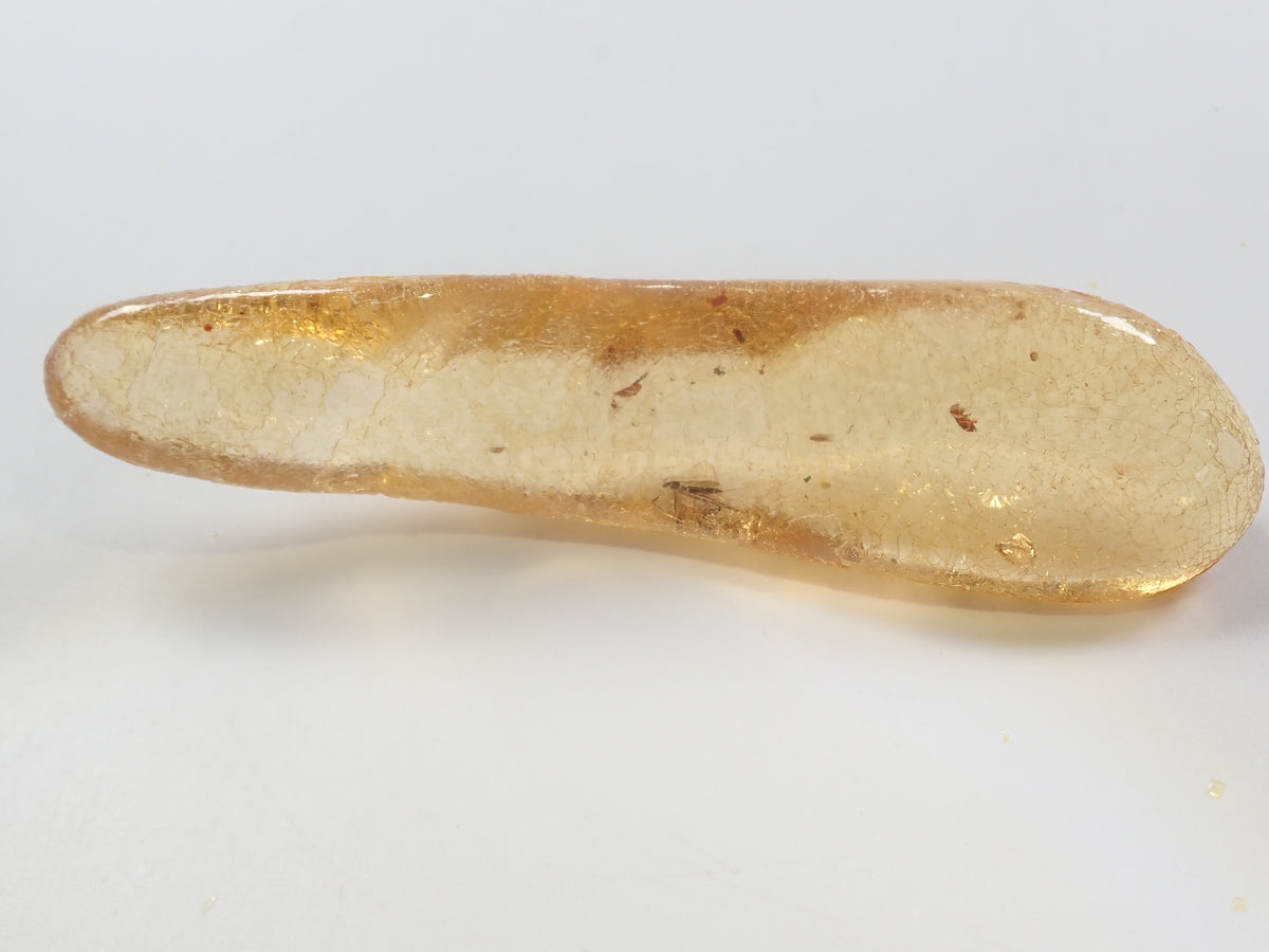 【9/23 22時販売】《限定1石》複数の虫入り 琥珀(こはく)/コパル94.05ct・約9cm 標本