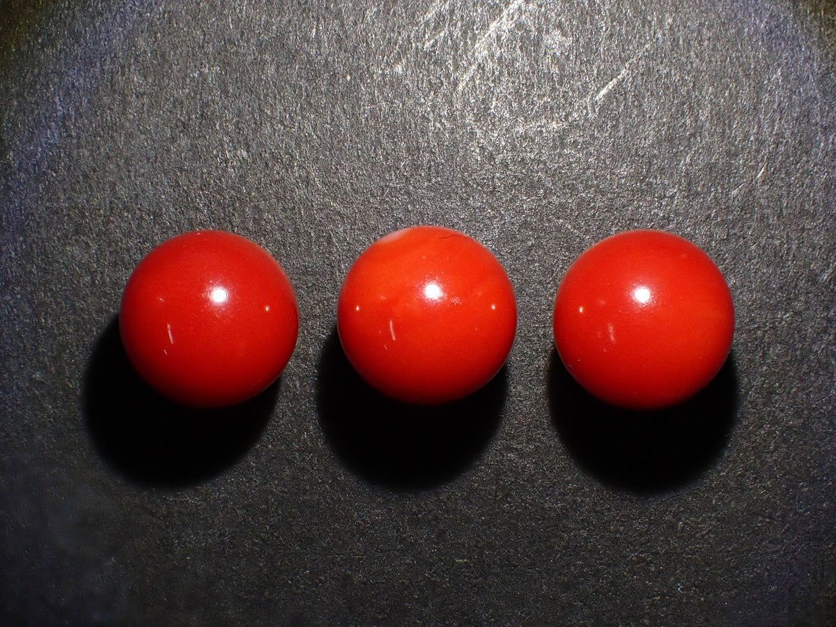 【10/30 22時開賣】《限量3顆》高知縣產血赤珊瑚 單孔(8.7mm,頂級色澤)《享多件購買折扣》