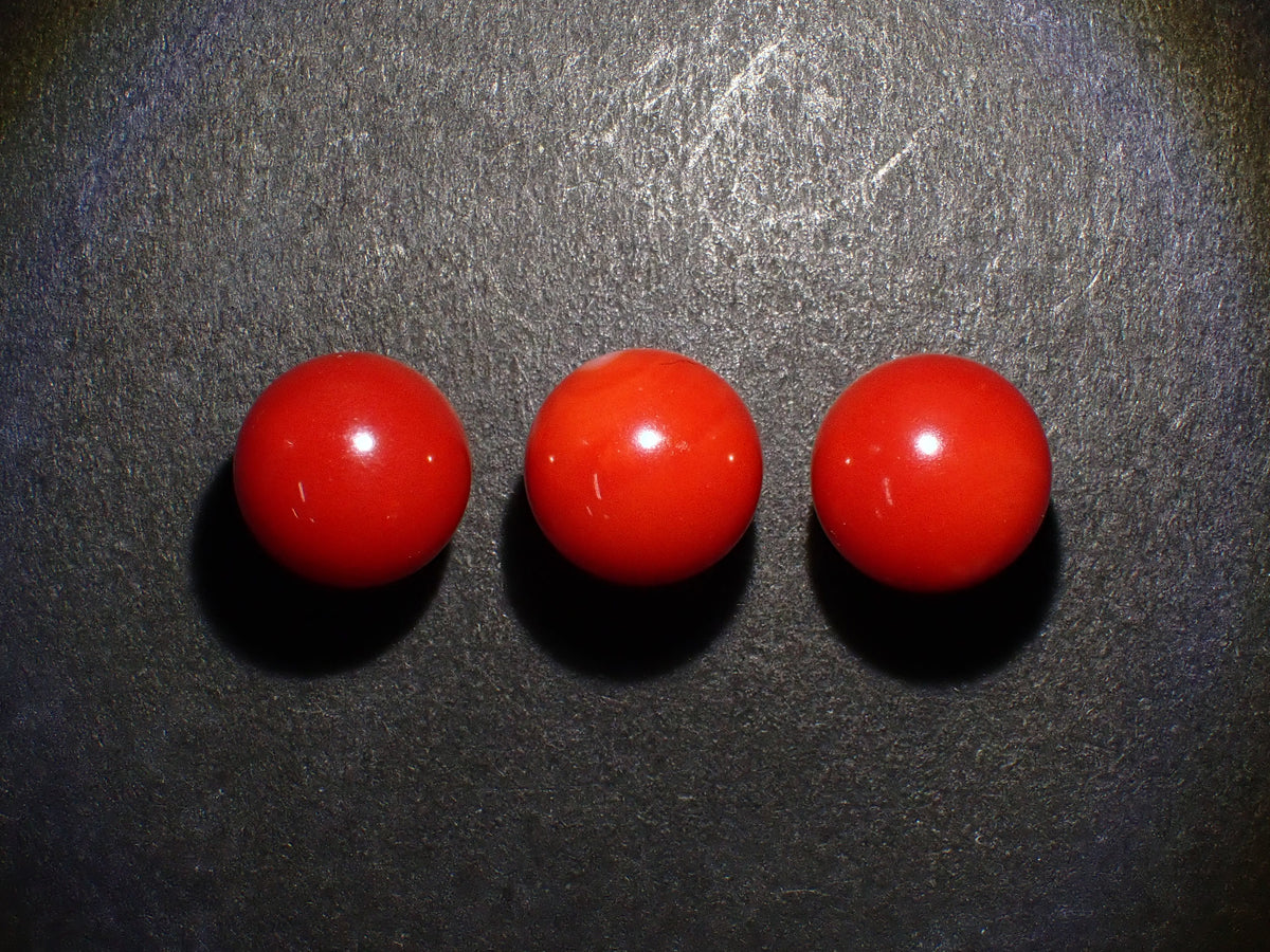 【10/30 22時開賣】《限量3顆》高知縣產血赤珊瑚 單孔(8.7mm,頂級色澤)《享多件購買折扣》