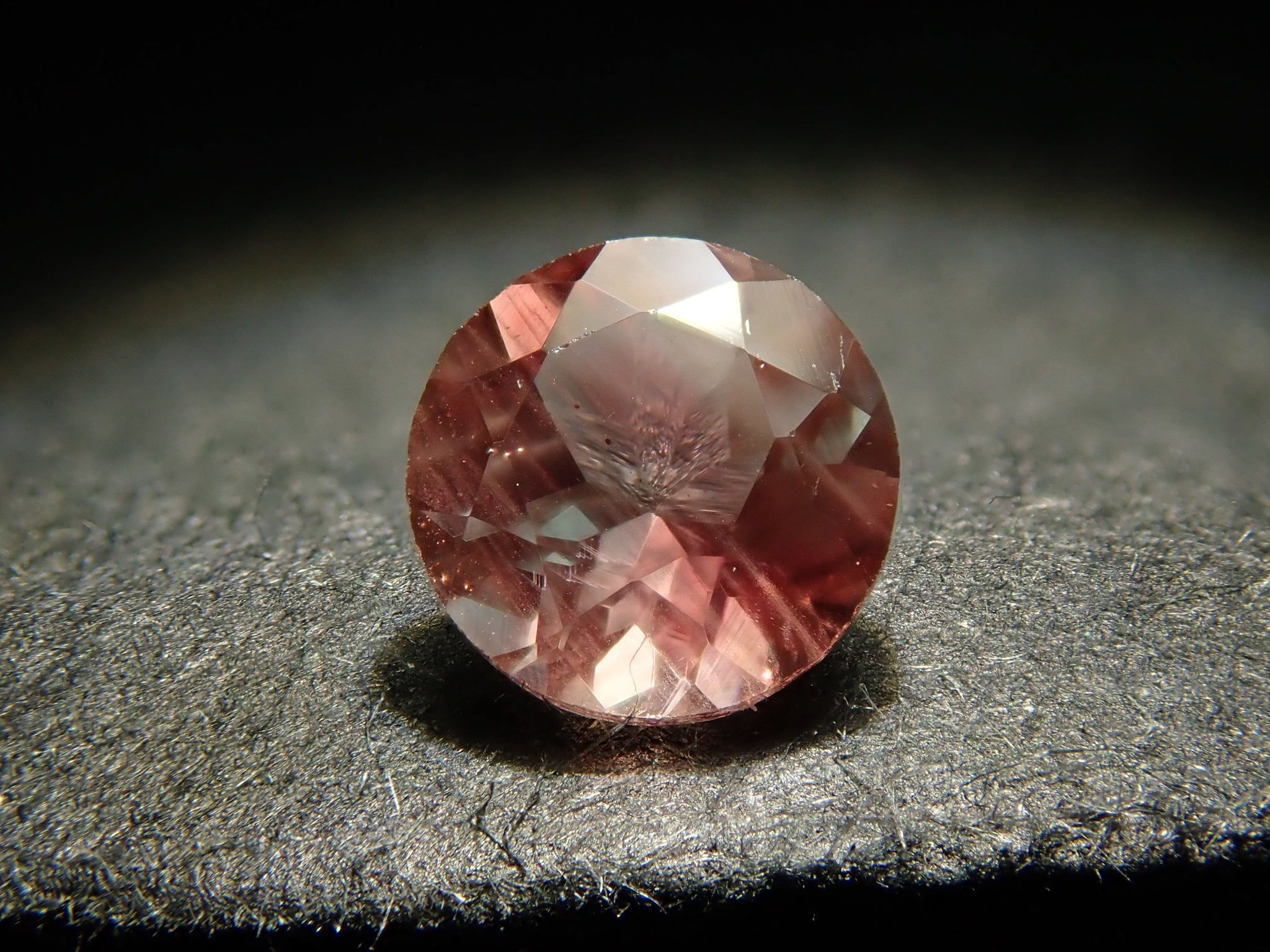 PA100871.jpg?v=1728629542&  