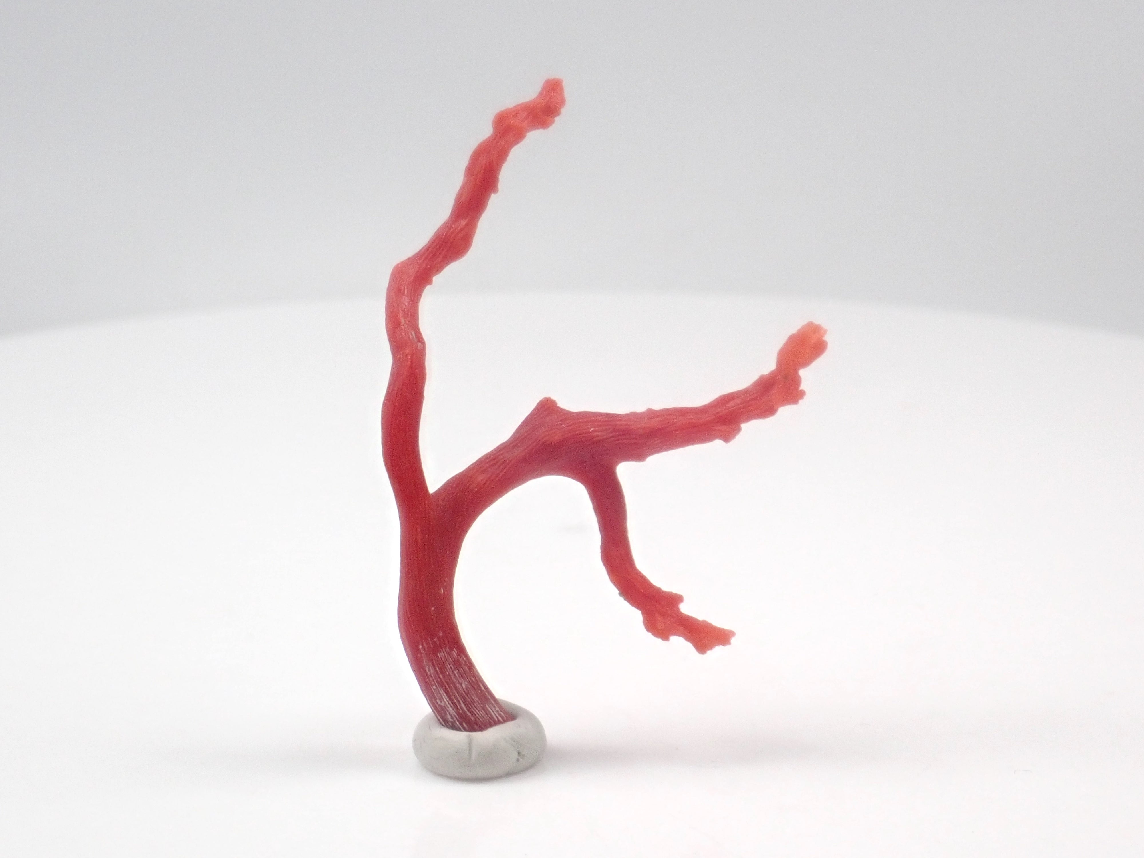 【11/16 22時販売】《限定12石》ブラジル産パライバトルマリン原石を含む原石ガチャ💎原石1石《複数購入割引有》