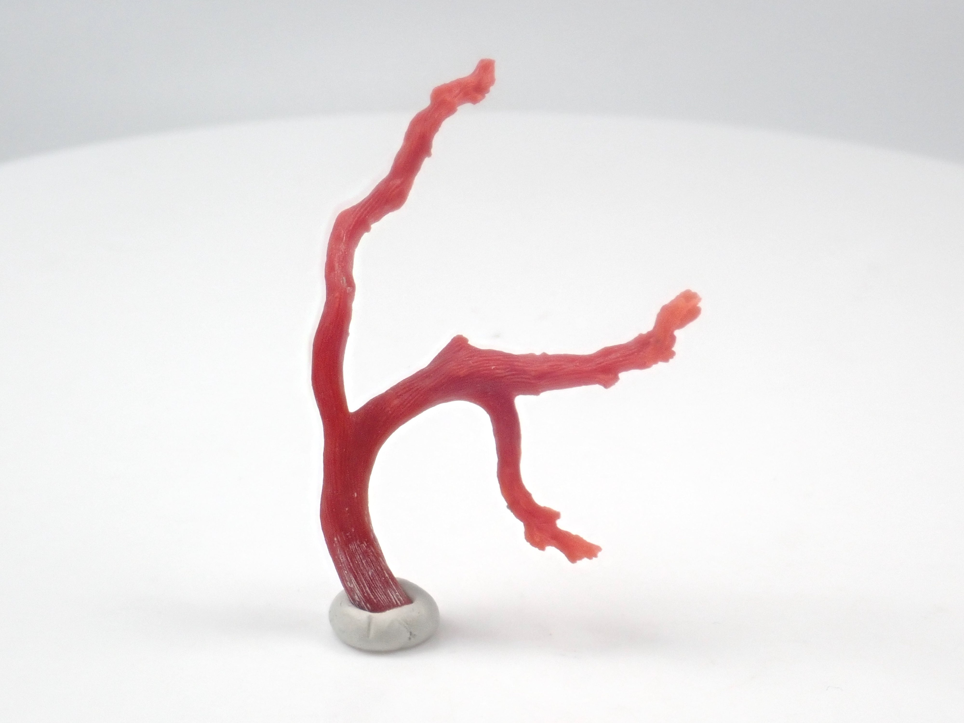 【11/16 22時販売】《限定12石》ブラジル産パライバトルマリン原石を含む原石ガチャ💎原石1石《複数購入割引有》