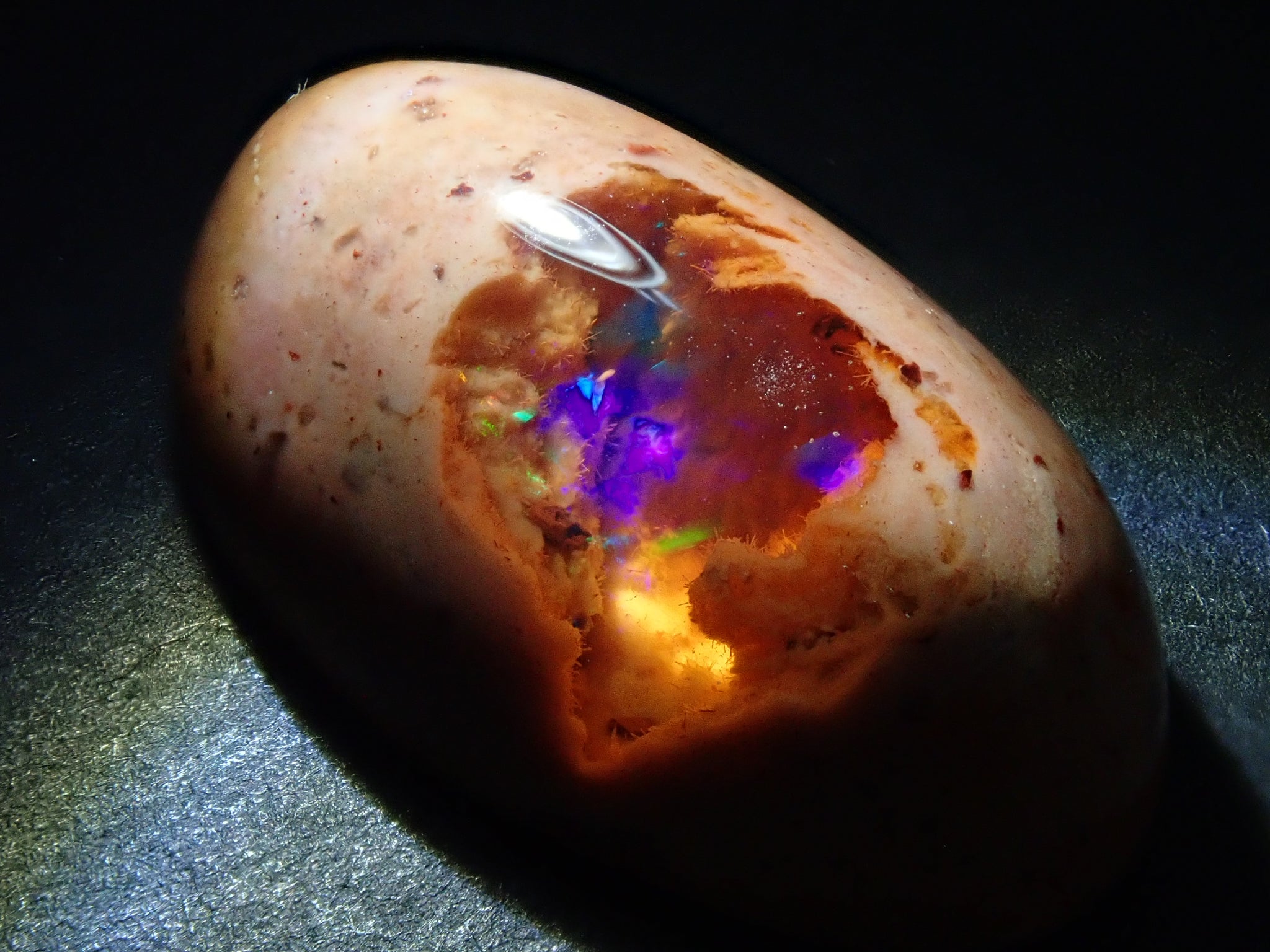 PB260071.jpg?v=1732697041&  