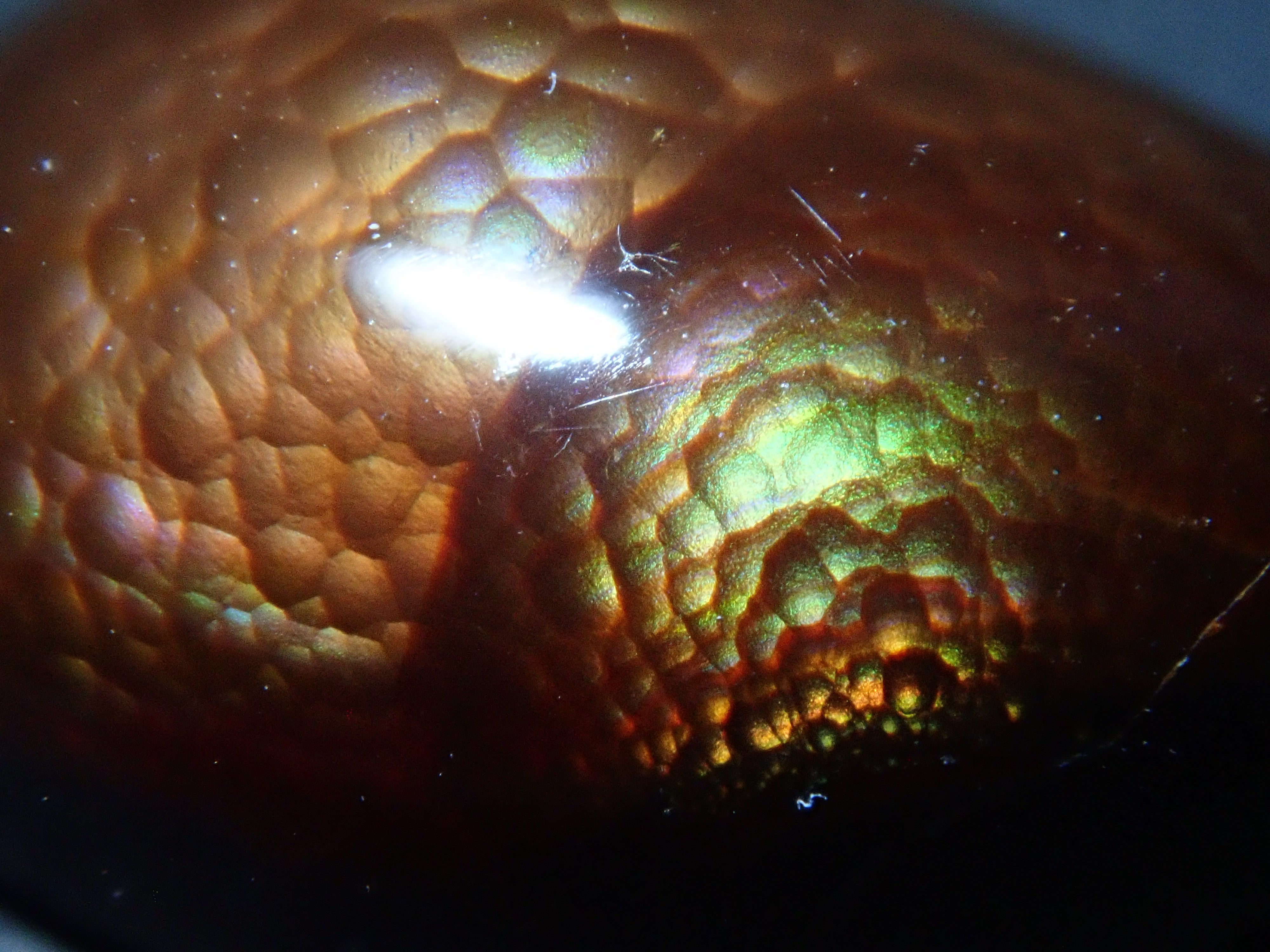 【12/25 22時販売】メキシコ産ファイアーアゲート 8.033ctルース