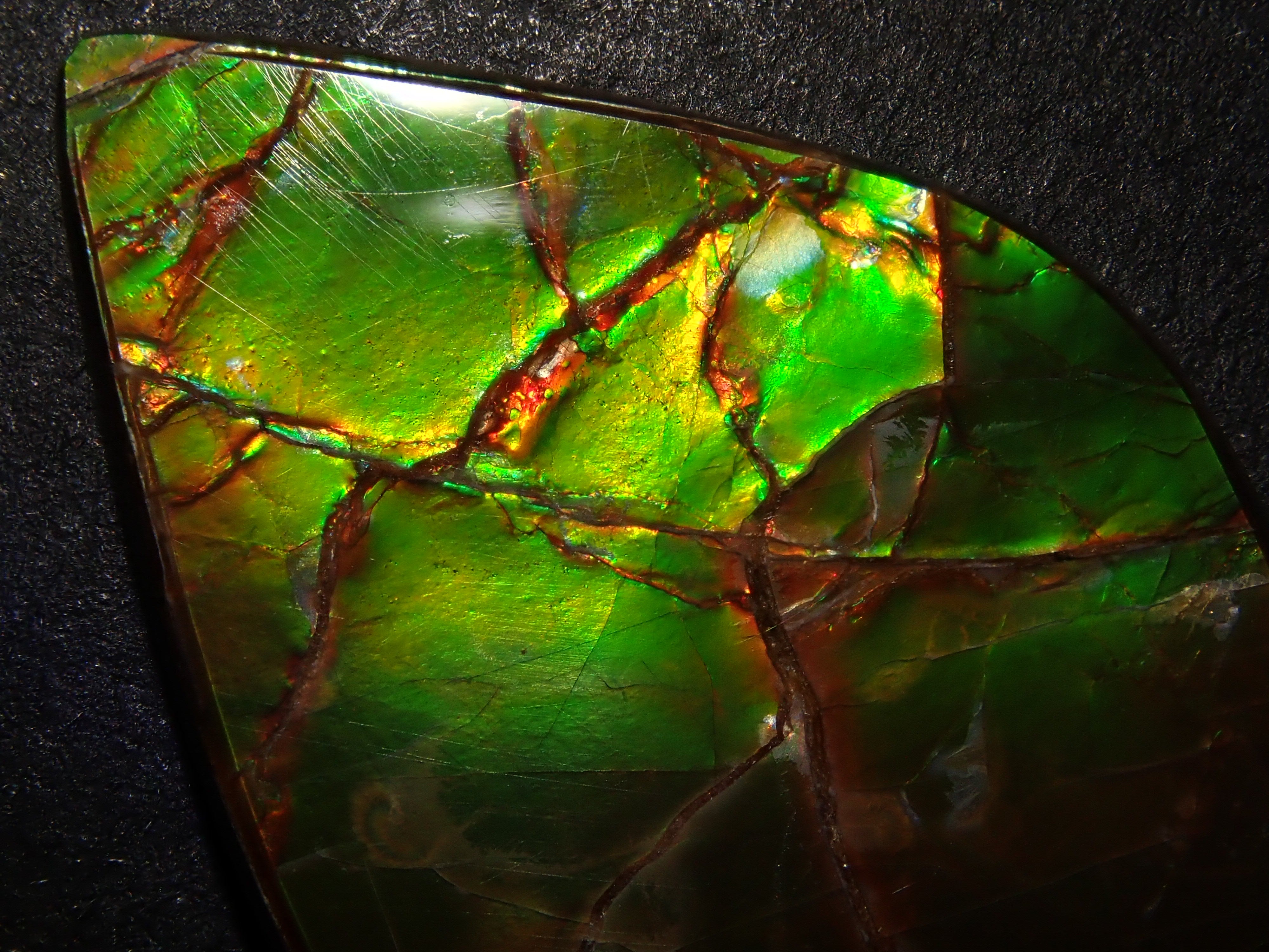 【12/25 22時販売】カナダ産アンモライト 17.043ctルース