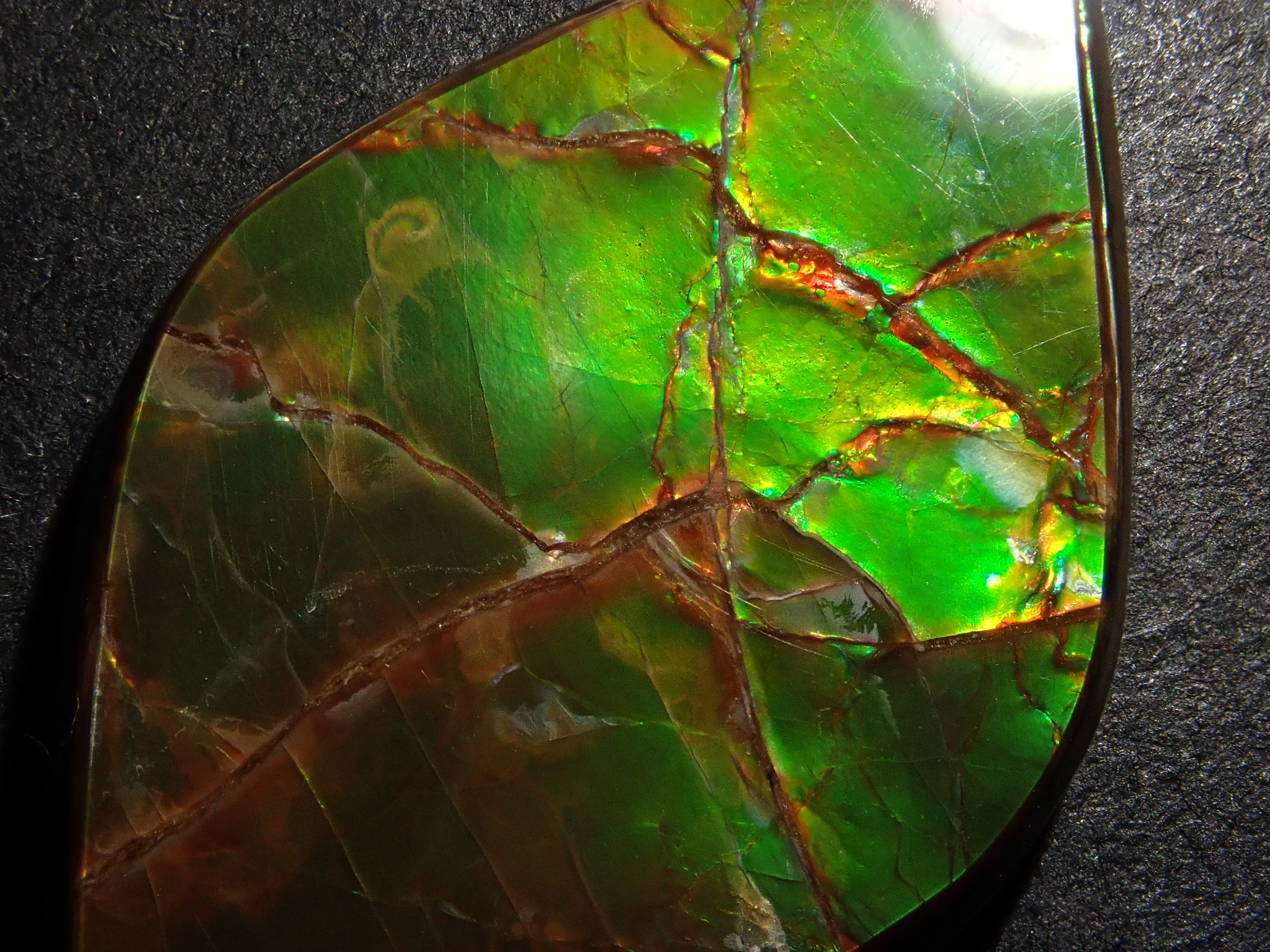 【12/6 22時販売】カナダ産アンモライト 17.043ctルース