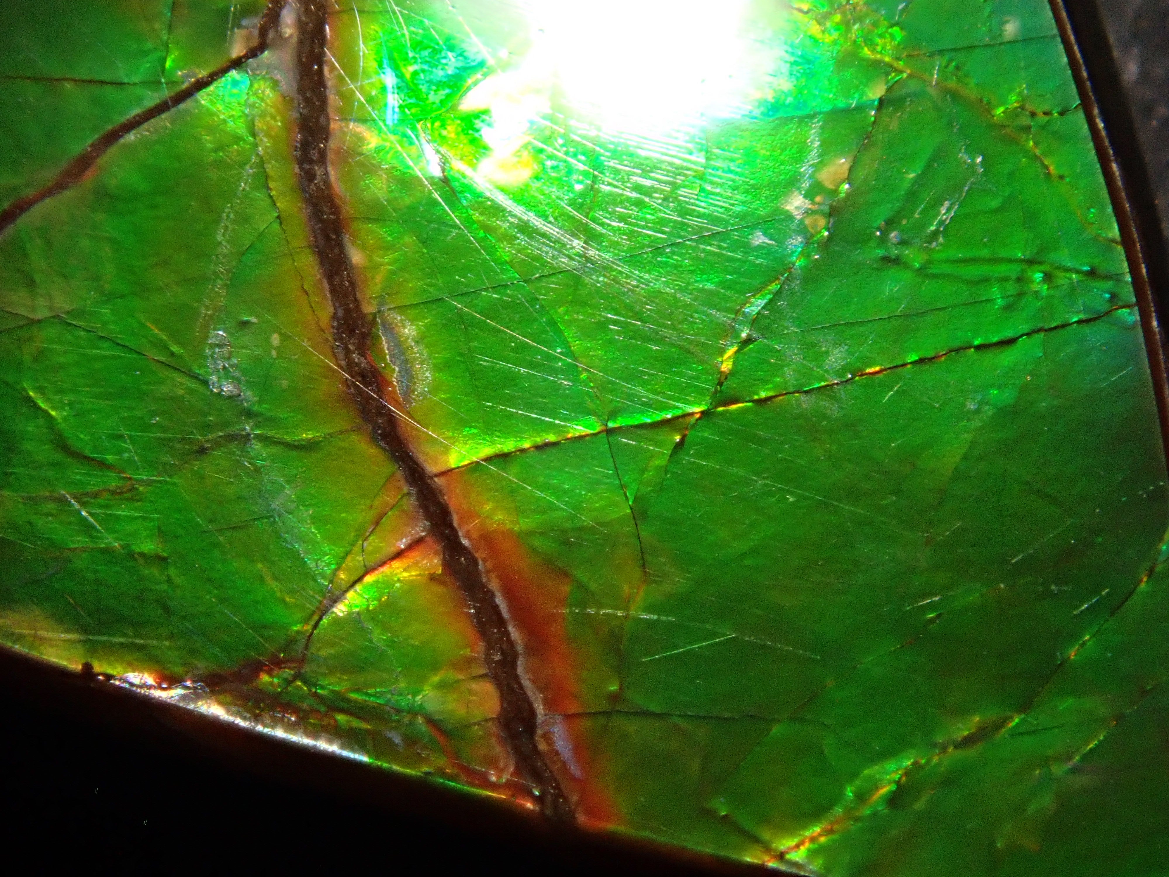 【12/6 22時販売】カナダ産アンモライト 17.043ctルース