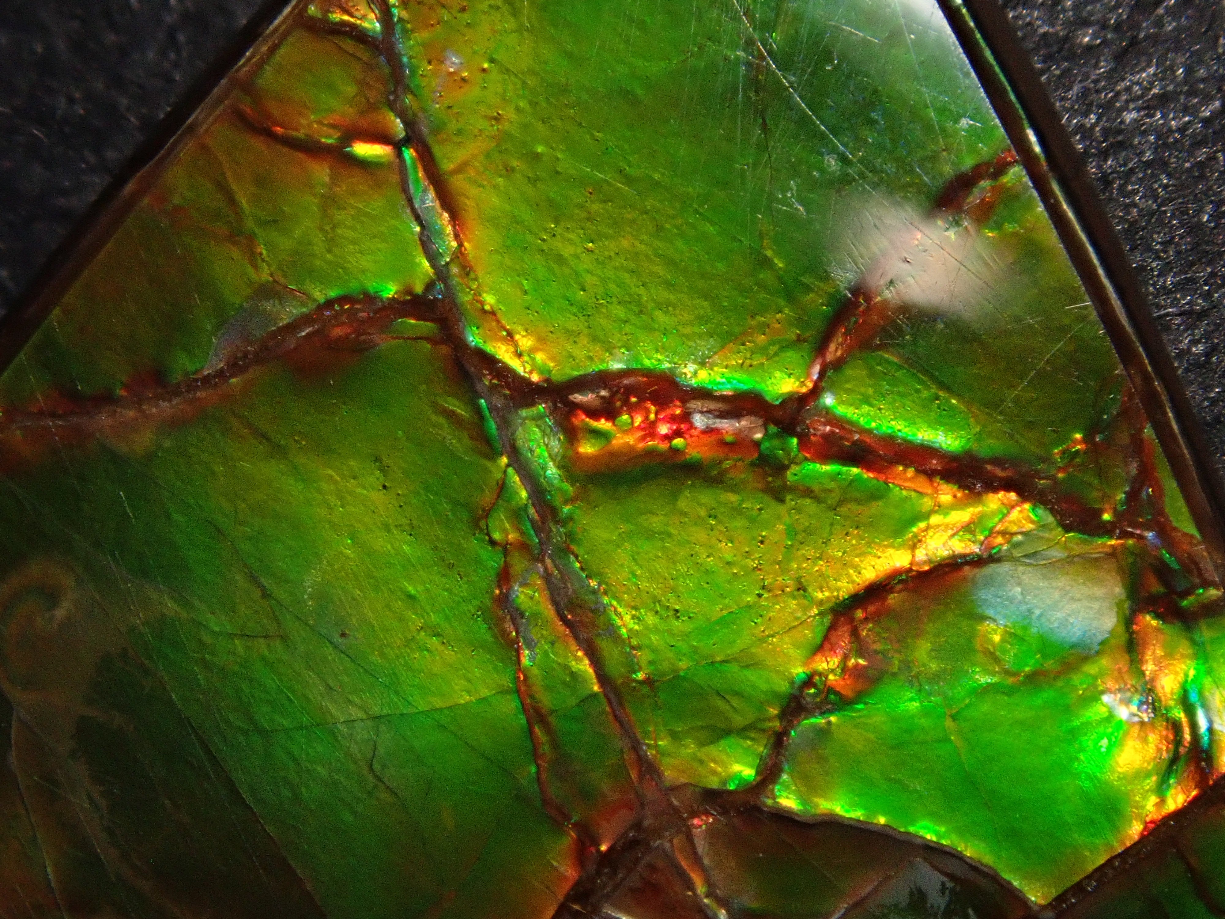 【12/6 22時販売】カナダ産アンモライト 17.043ctルース