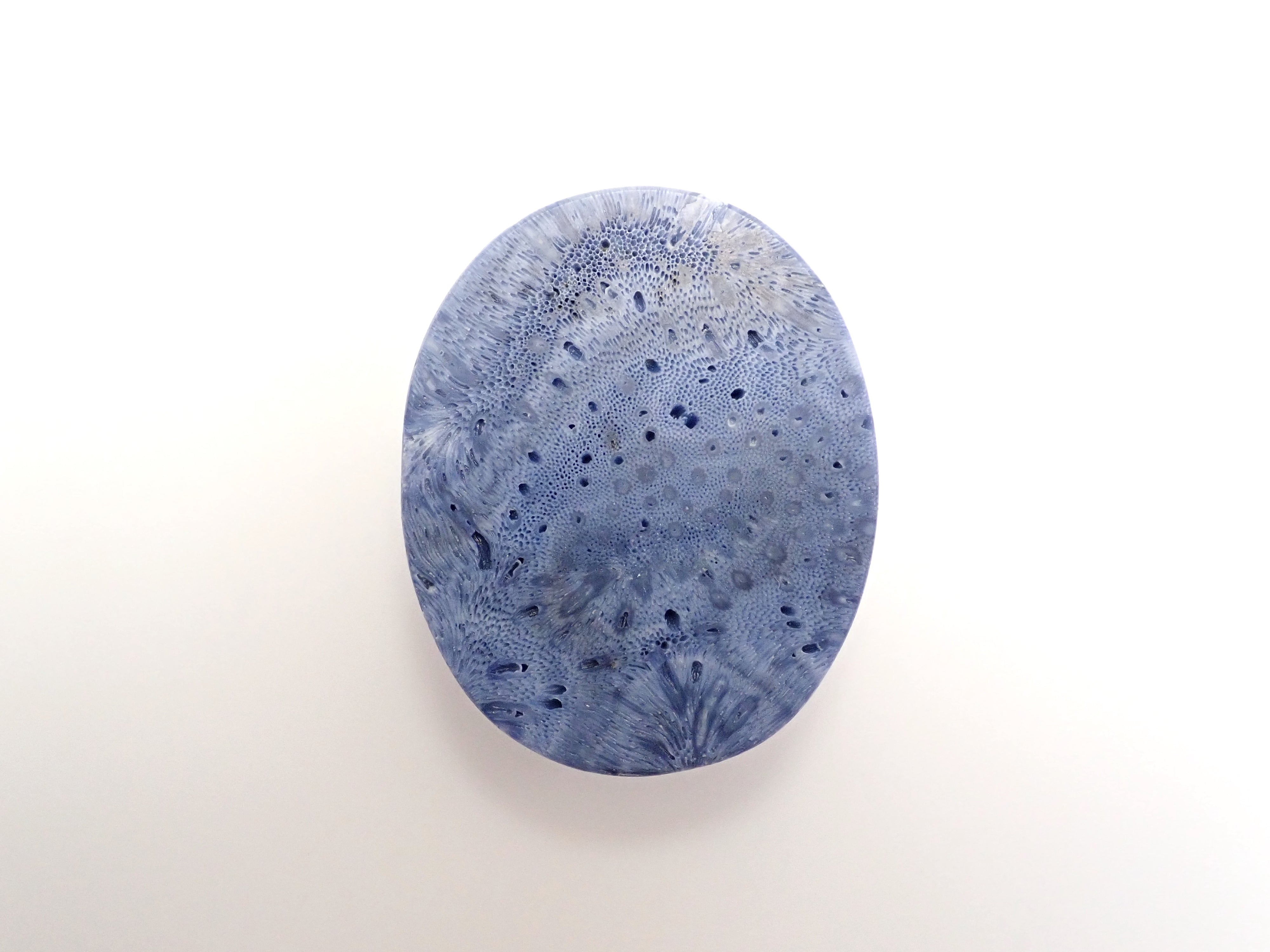 ブルーさんご (青珊瑚) 75.469ctルース