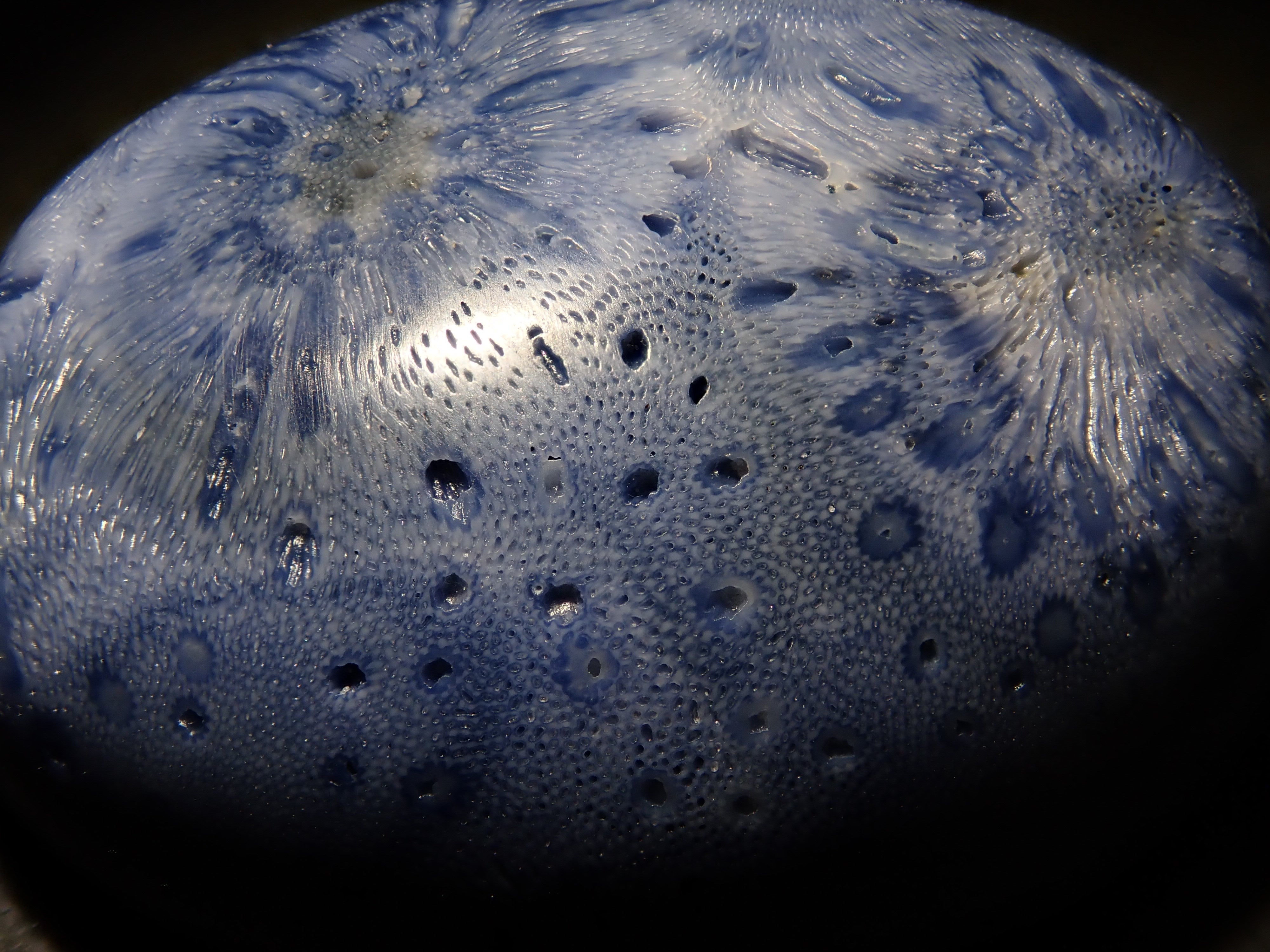 ブルーさんご (青珊瑚) 75.469ctルース