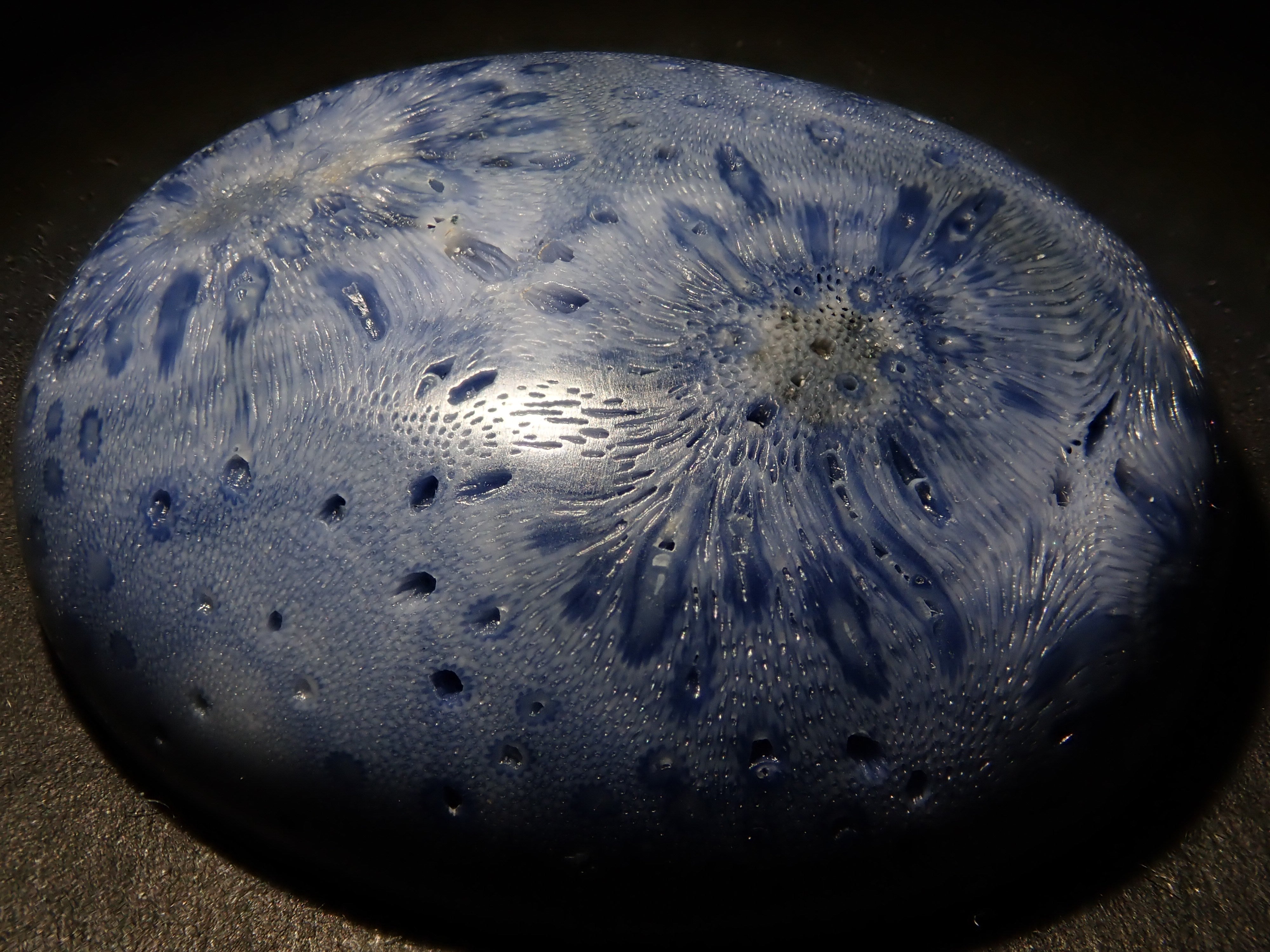 ブルーさんご (青珊瑚) 75.469ctルース