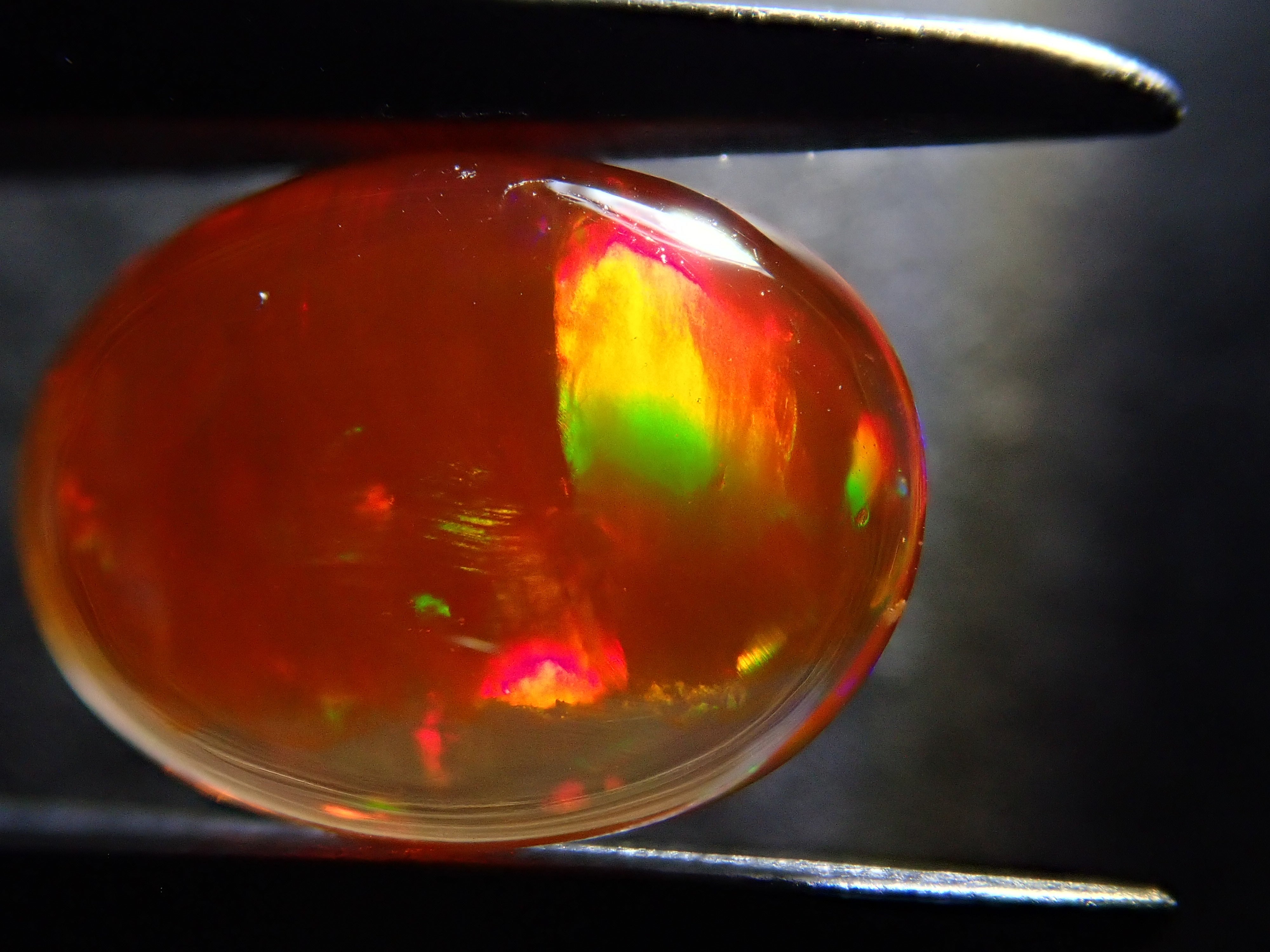 メキシコ産ファイアオパール 1.413ctルース