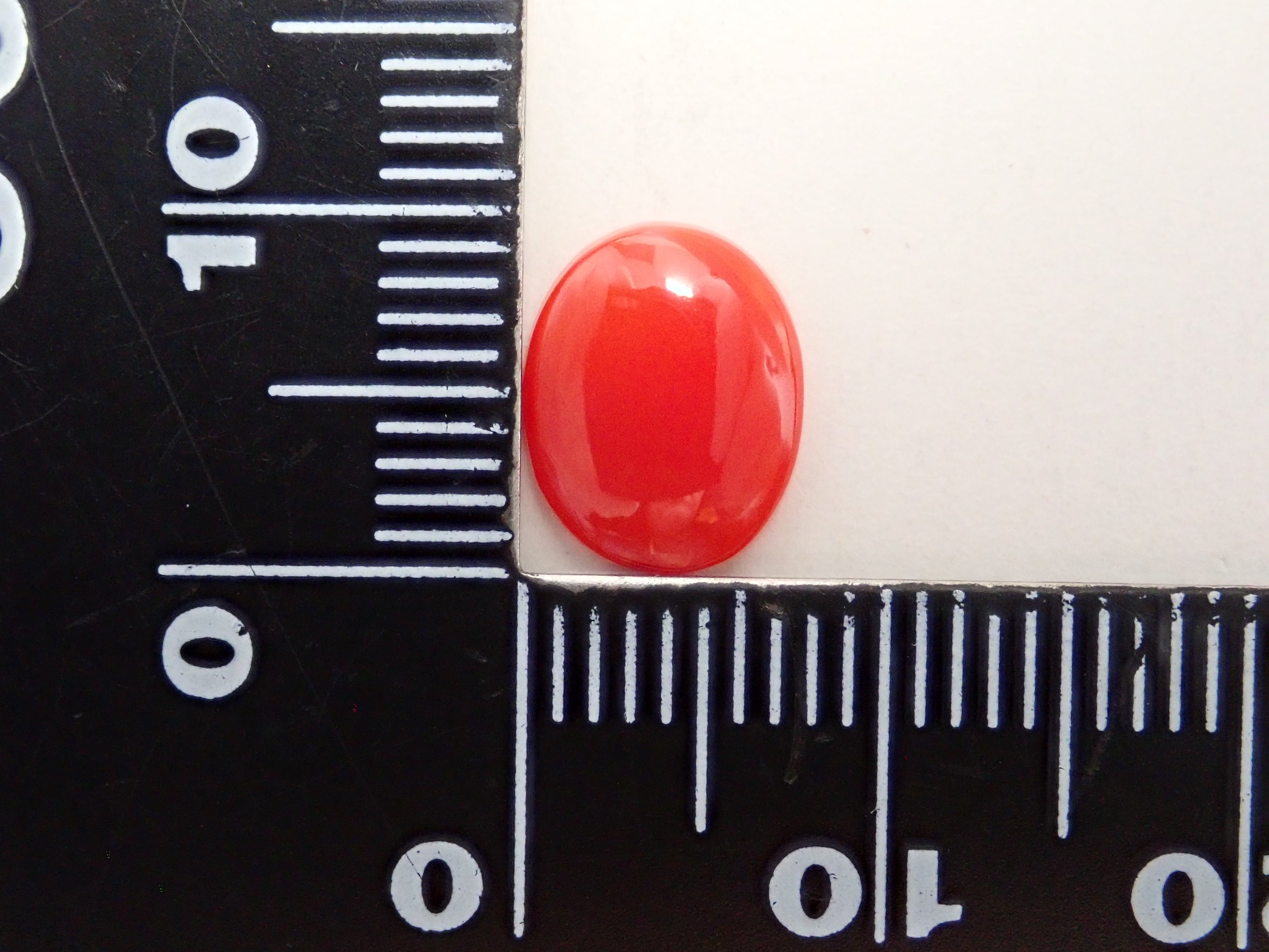 【12/22 22時販売】赤さんご (珊瑚) 1.406ctルース