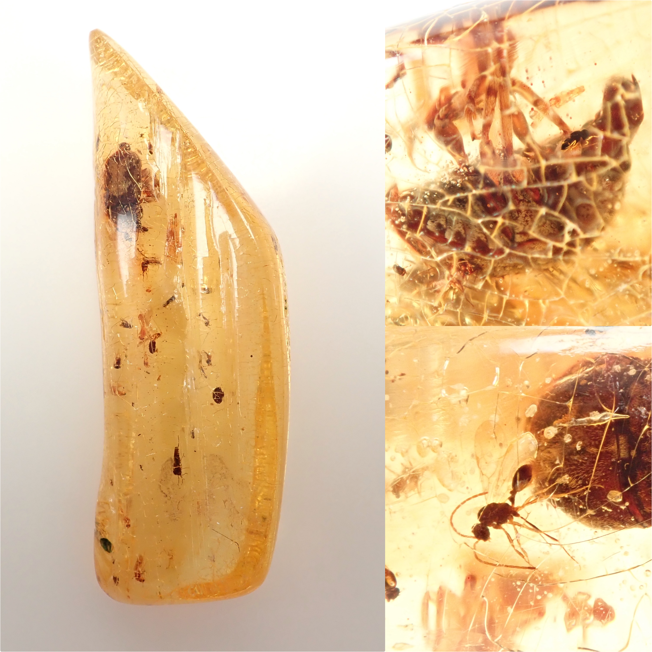 【2/15 22時販売】琥珀(こはく)/コパル 41.008ctルース(虫入り)