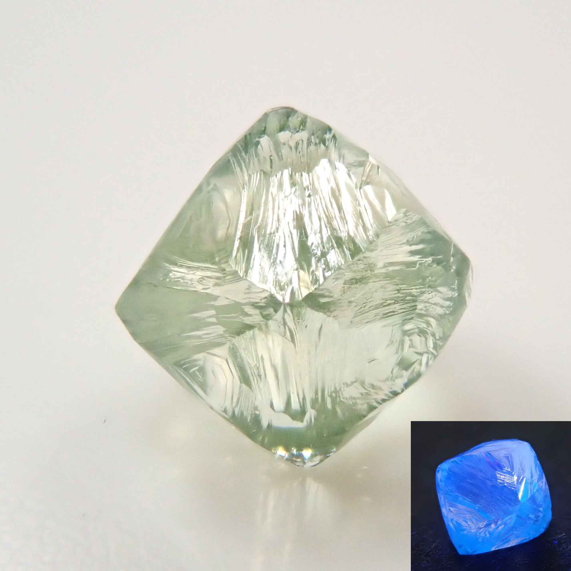 石原タイコ ダイコー 石鯛 振出 530H 黒鯛 釣竿 ダイコウ ダイコー 別誂