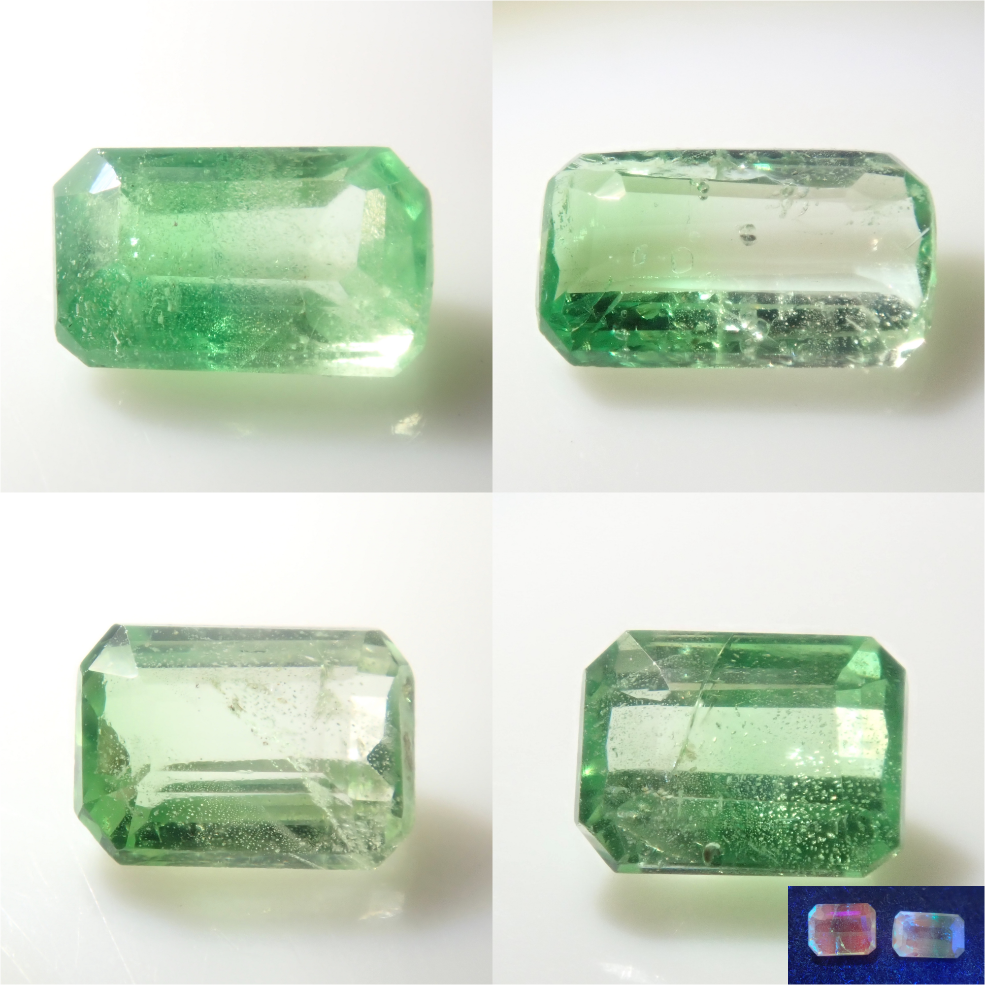 タンザニア産バイカラーグロッシュラーガーネット