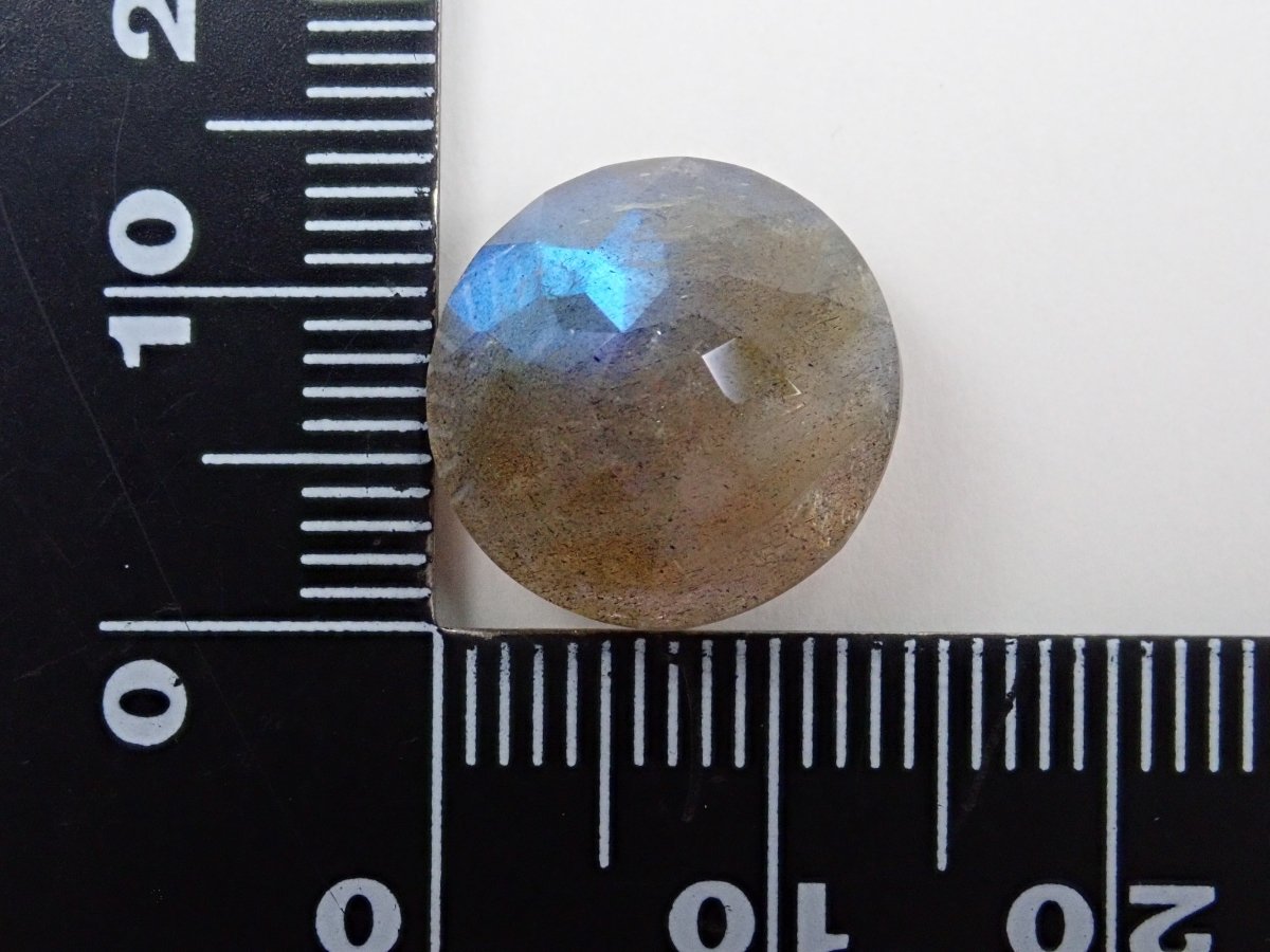 【カメリアカット】カナダ産ラブラドライト(通称名:ブルームーンストーン) 14mm/9.947ct《コラボ》ルース - カラッツSTORE