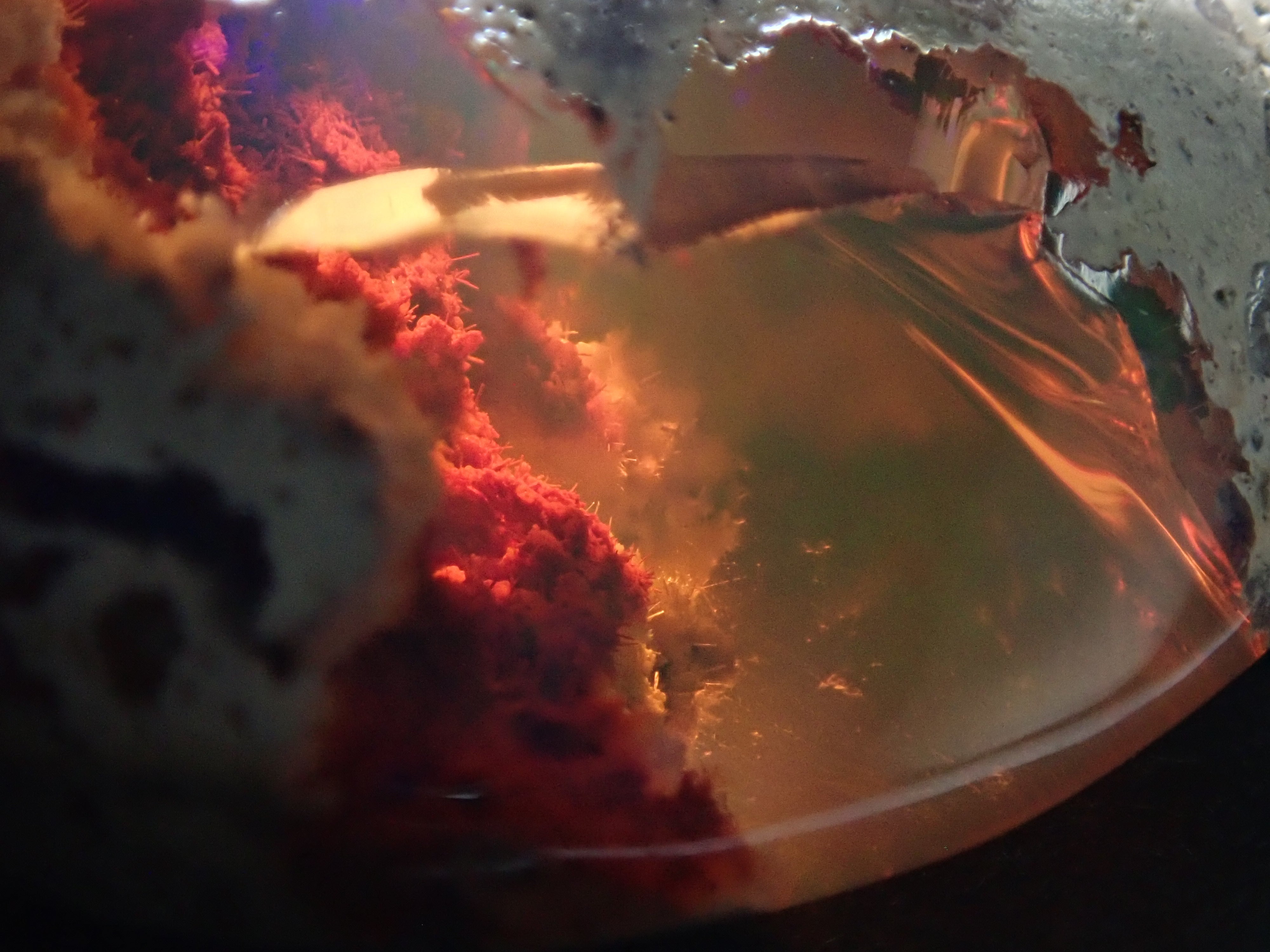 【12530283掲載】カンテラオパール 17.221ctルース