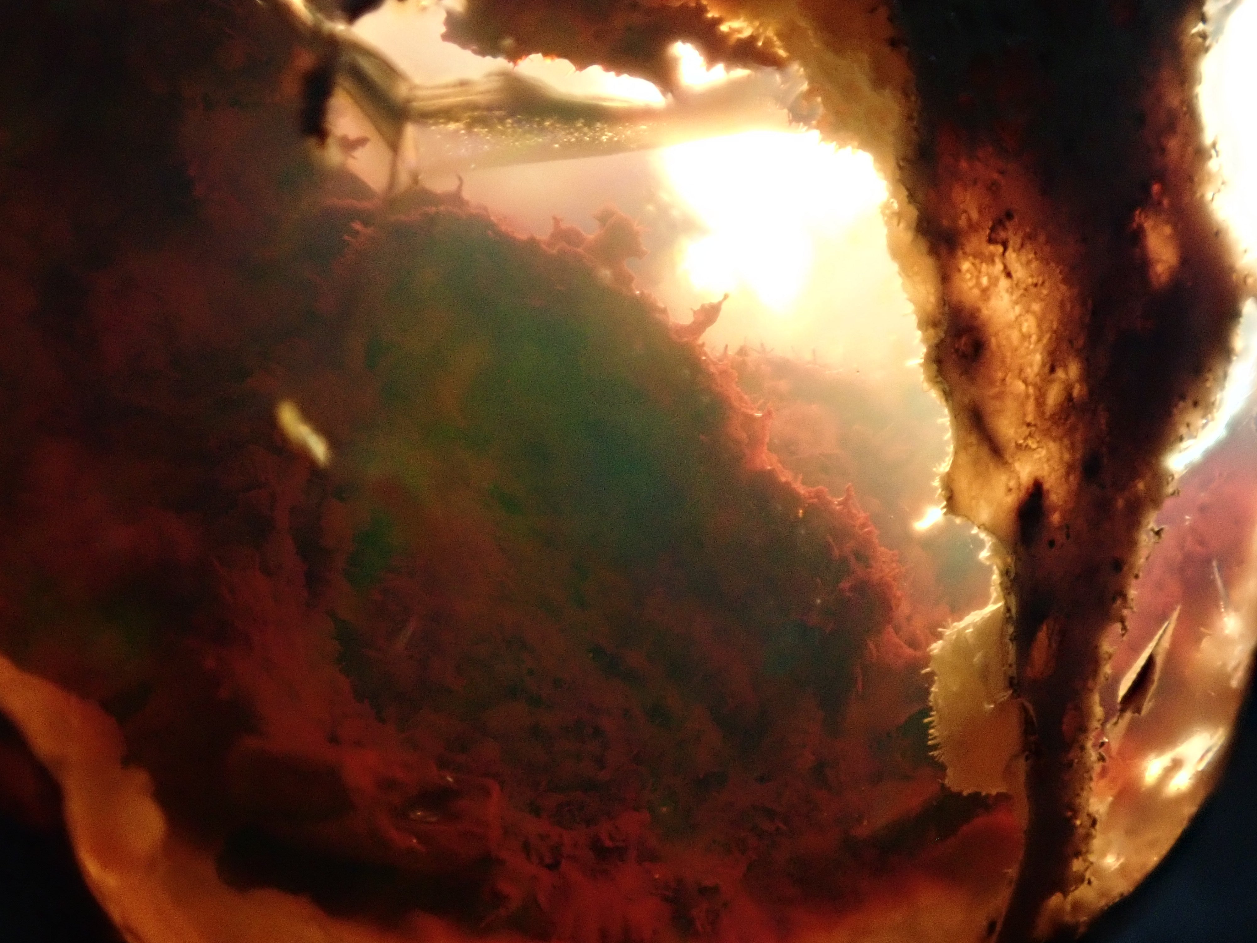 【12530283掲載】カンテラオパール 17.221ctルース