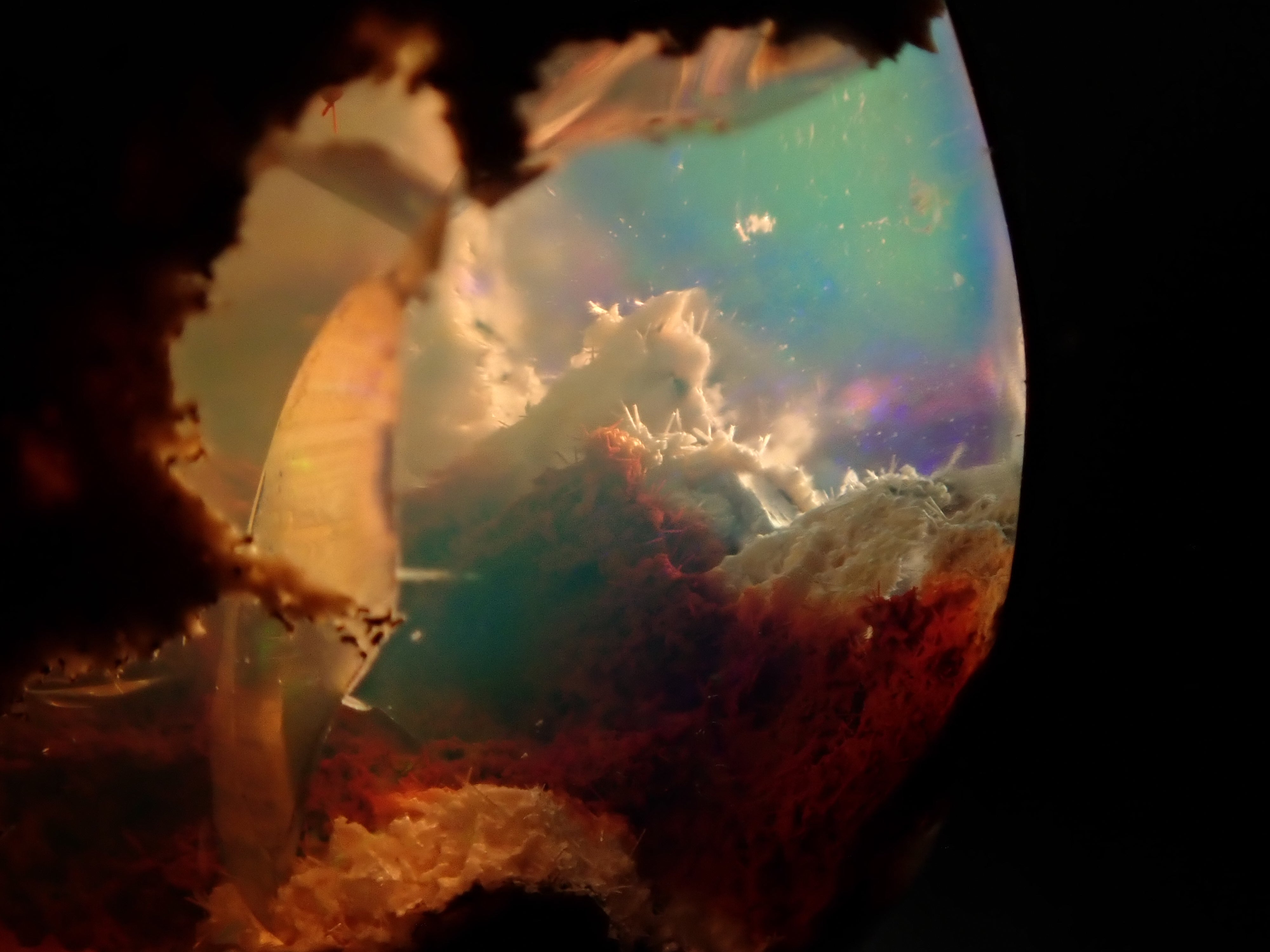 【12530283掲載】カンテラオパール 17.221ctルース