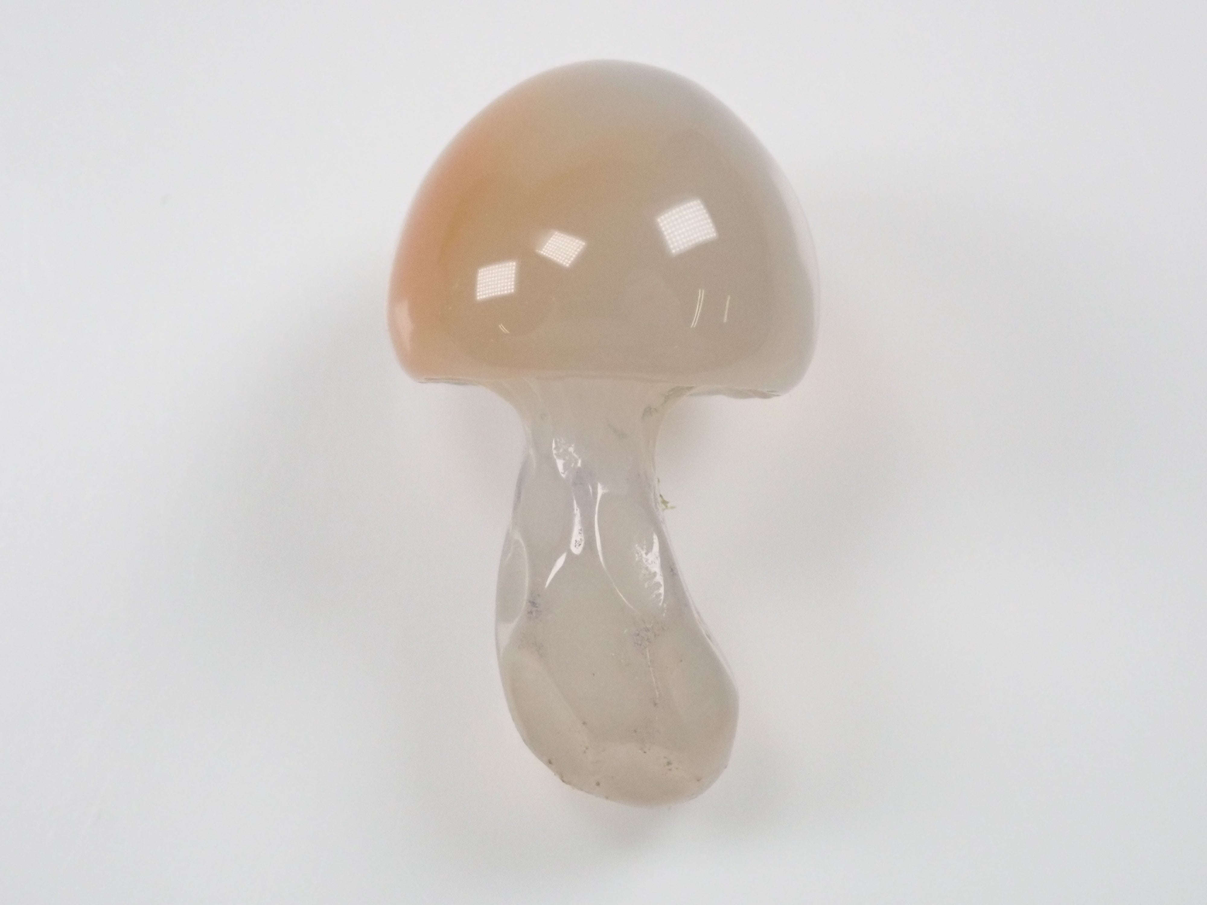 【深澤氏メノウきのこ】瑪瑙(メノウ) 28.751ctルース ワッペン付