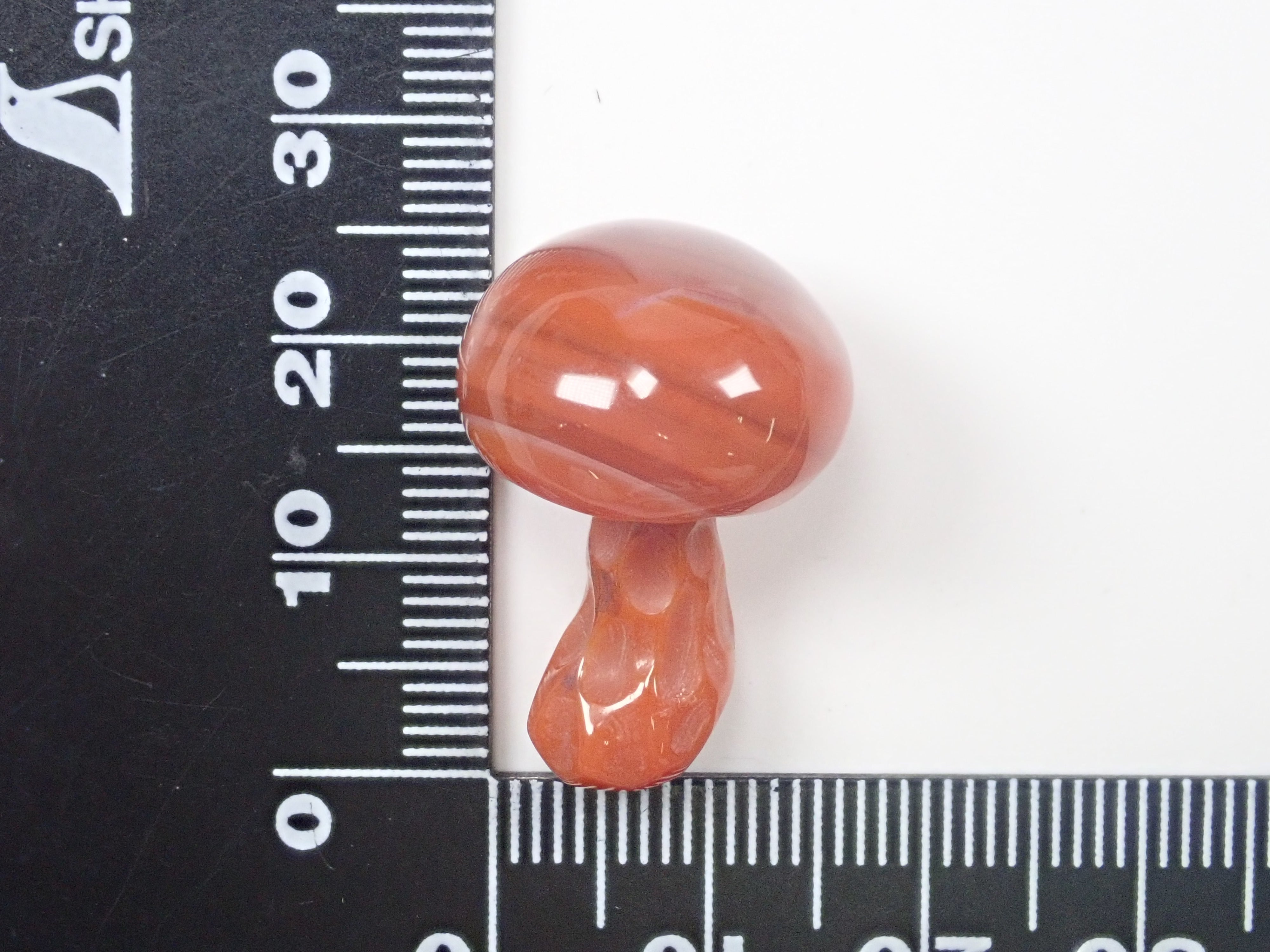 【深澤氏メノウきのこ】瑪瑙(メノウ) 24.906ctルース ワッペン