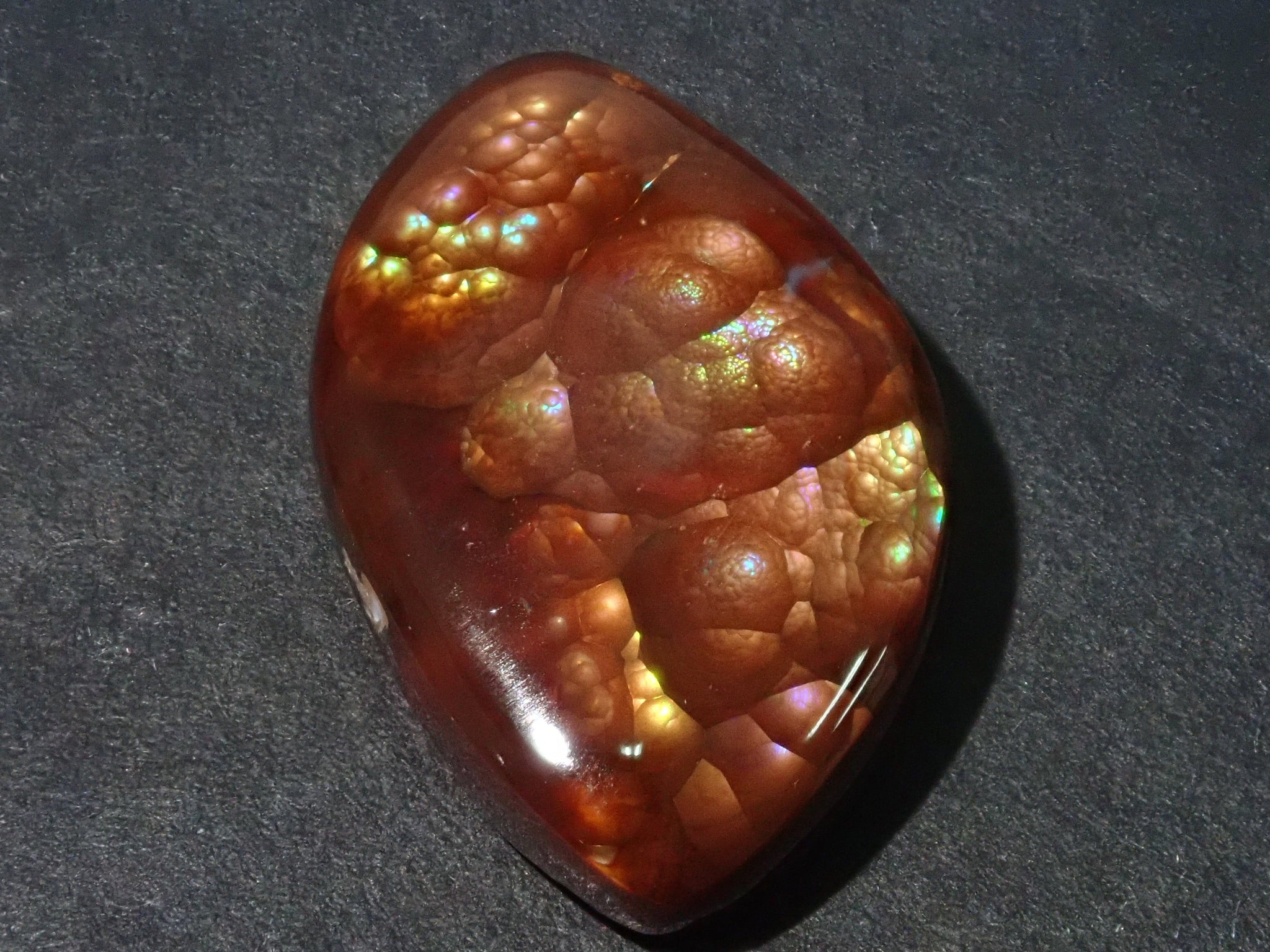 PB116514_bfd6d451-9857-473d-  