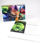 {Only 10 sets left} Cat Cut &lt;Dressed Up Cat&gt; + Gemstone Illustrated Calendar 2024 Edition {Multiple Purchase Discount}