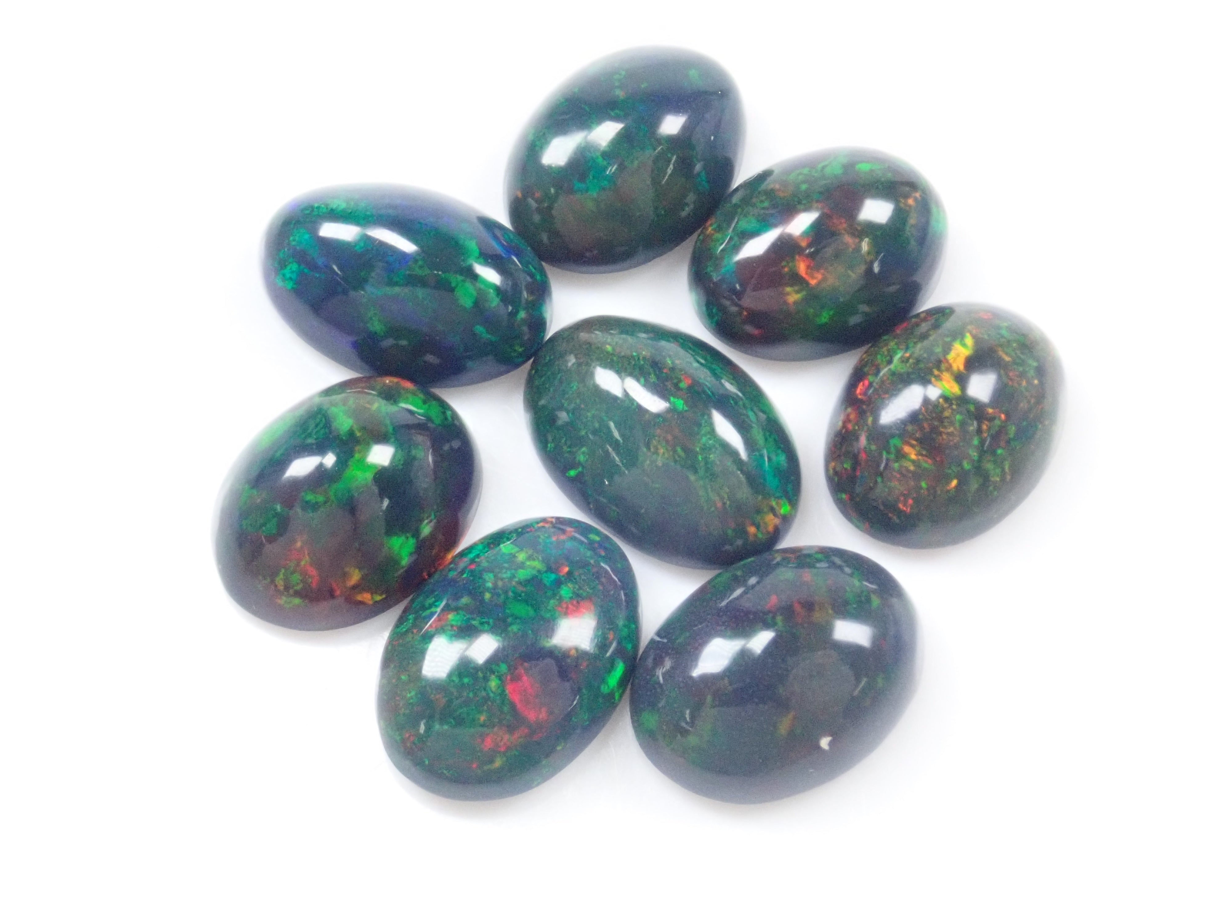 Limited to 8 stones: Ethiopian black opal (heat-treated, identification instructions included, average 2ct, approx. 11x8mm) 1 loose stone (multiple purchase discounts available)