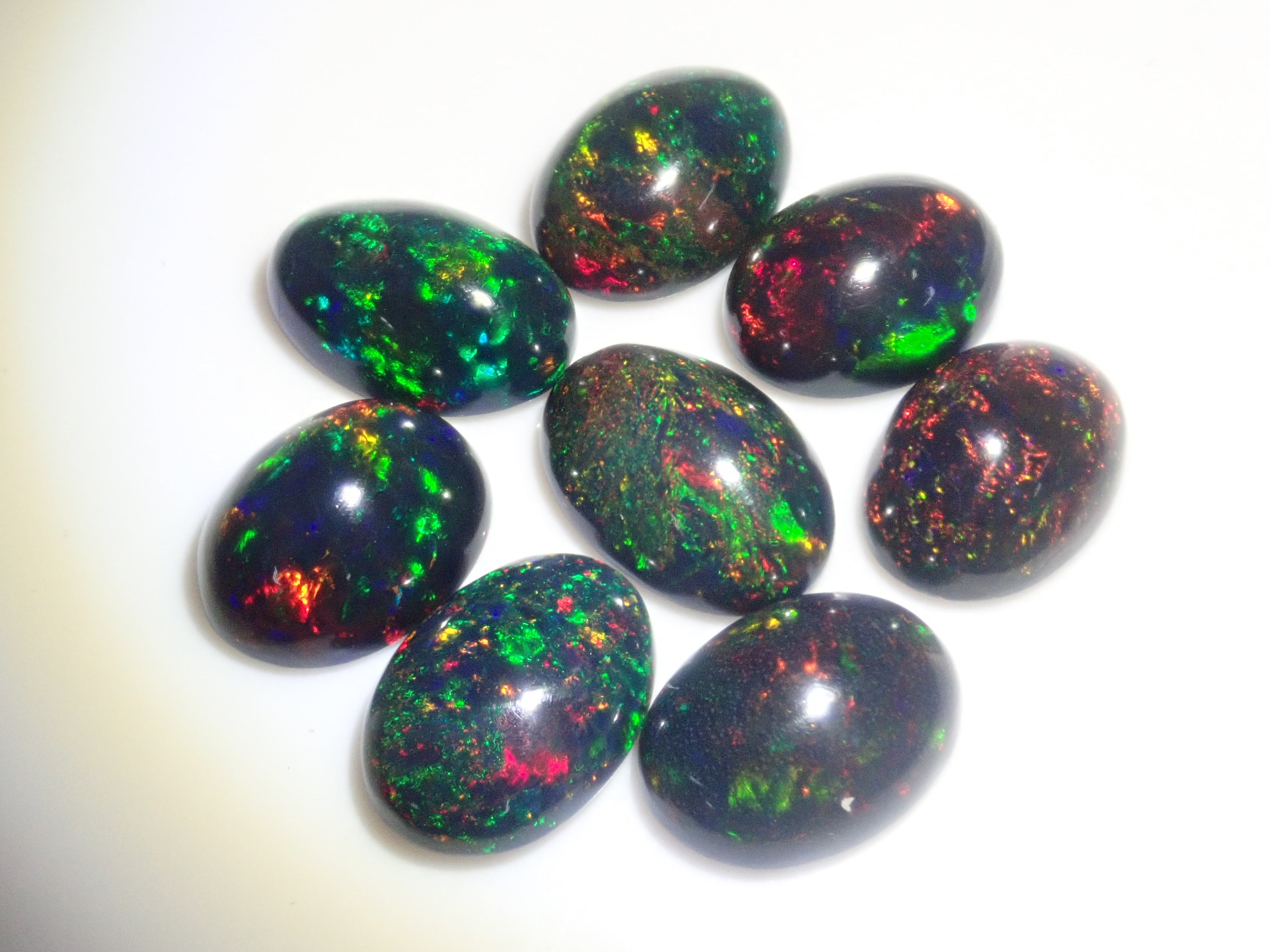 Limited to 8 stones: Ethiopian black opal (heat-treated, identification instructions included, average 2ct, approx. 11x8mm) 1 loose stone (multiple purchase discounts available)