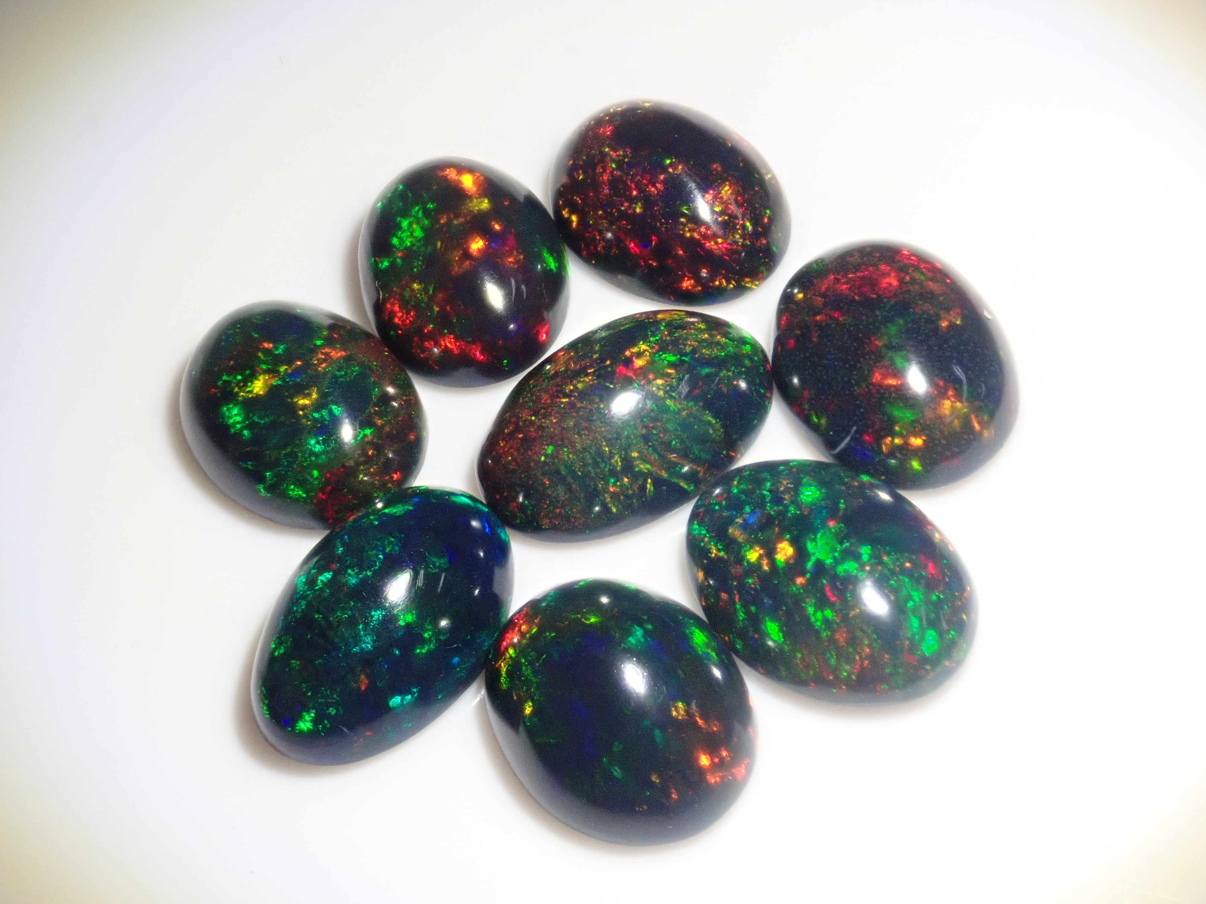 Limited to 8 stones: Ethiopian black opal (heat-treated, identification instructions included, average 2ct, approx. 11x8mm) 1 loose stone (multiple purchase discounts available)