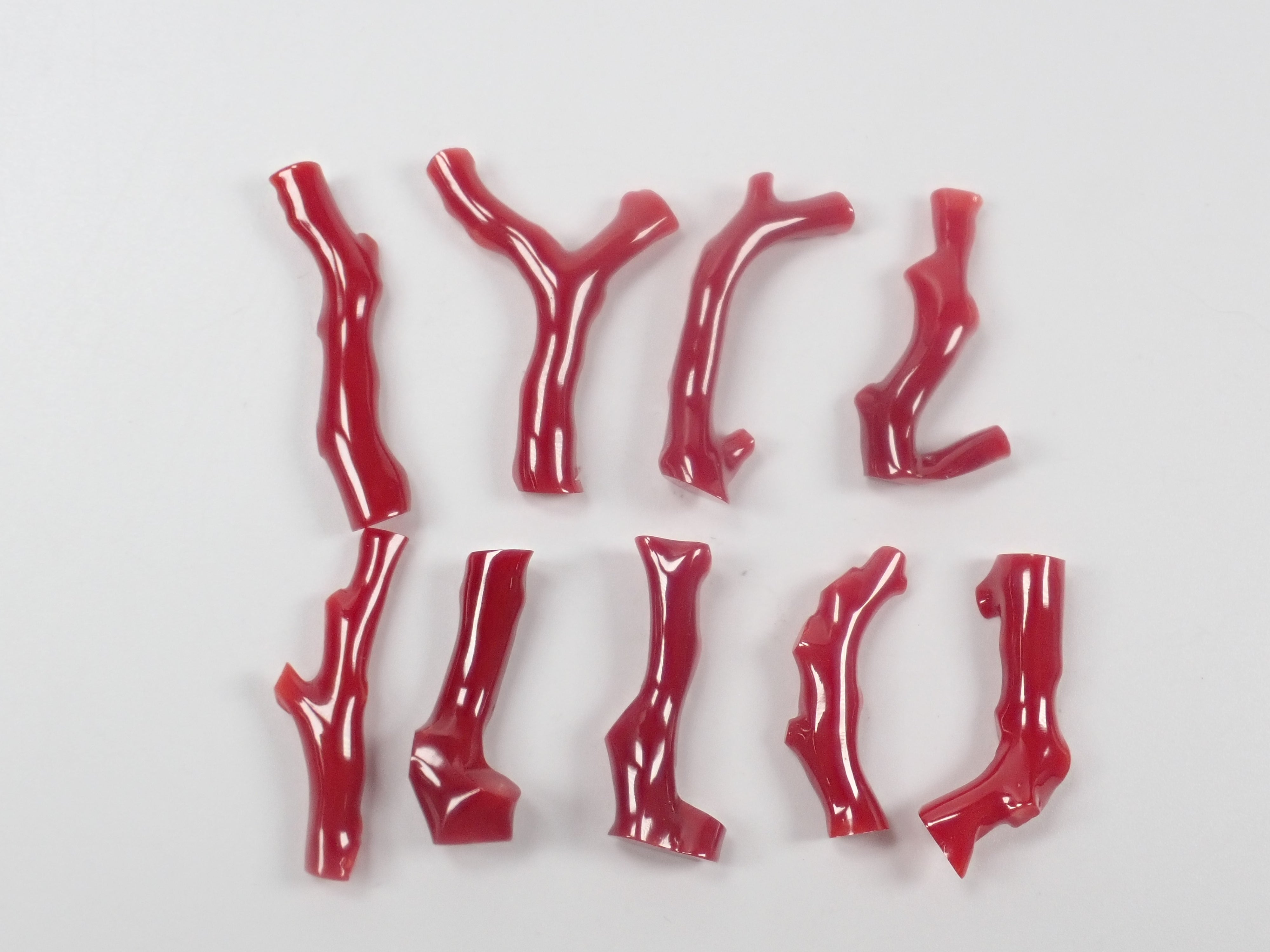 【4/18 22時販売】《限定9石》高知県産血赤珊瑚 枝（原木）1石（3月誕生石、コーラル,平均7ct）《複数購入割引有》