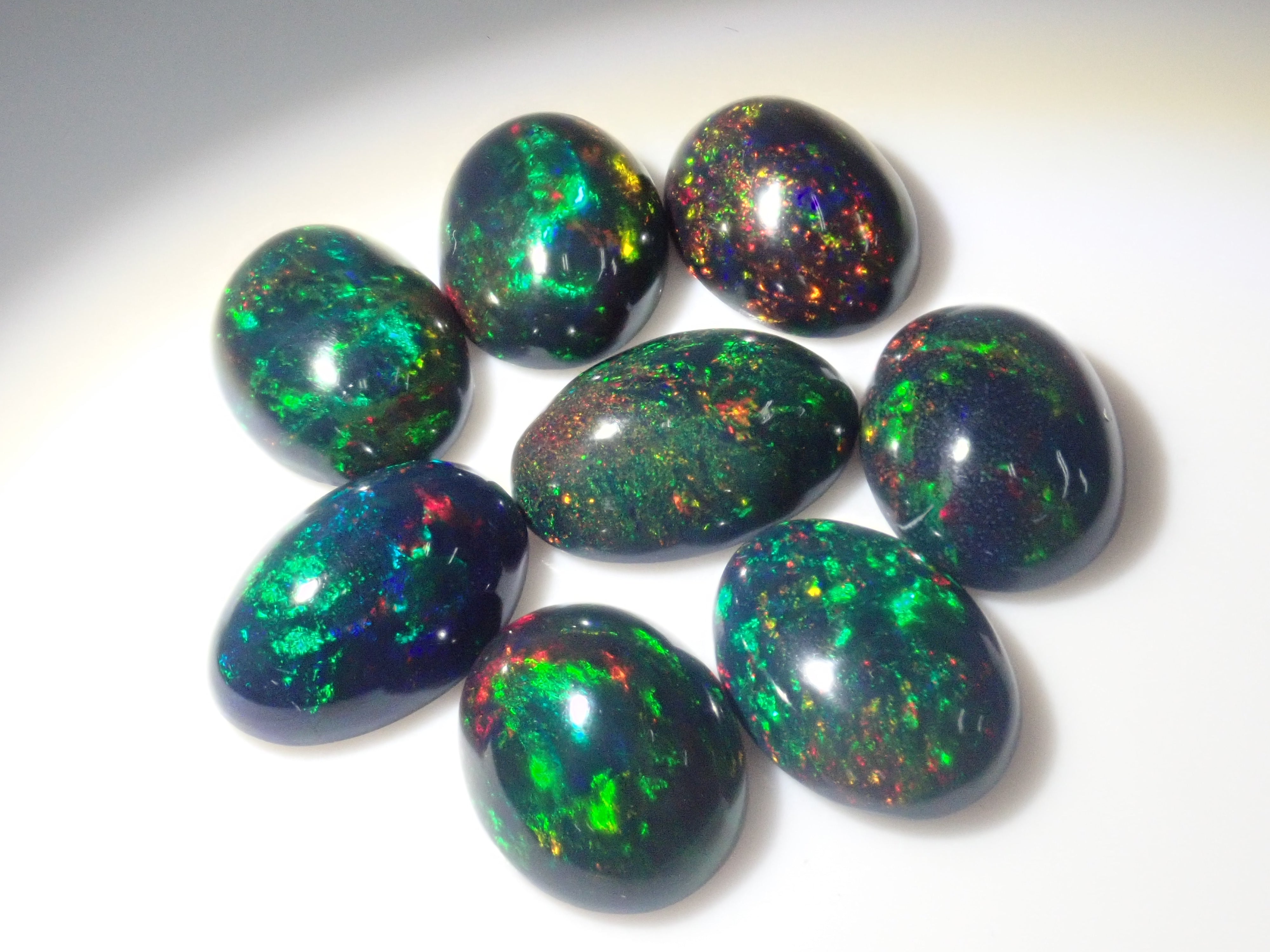 Limited to 8 stones: Ethiopian black opal (heat-treated, identification instructions included, average 2ct, approx. 11x8mm) 1 loose stone (multiple purchase discounts available)