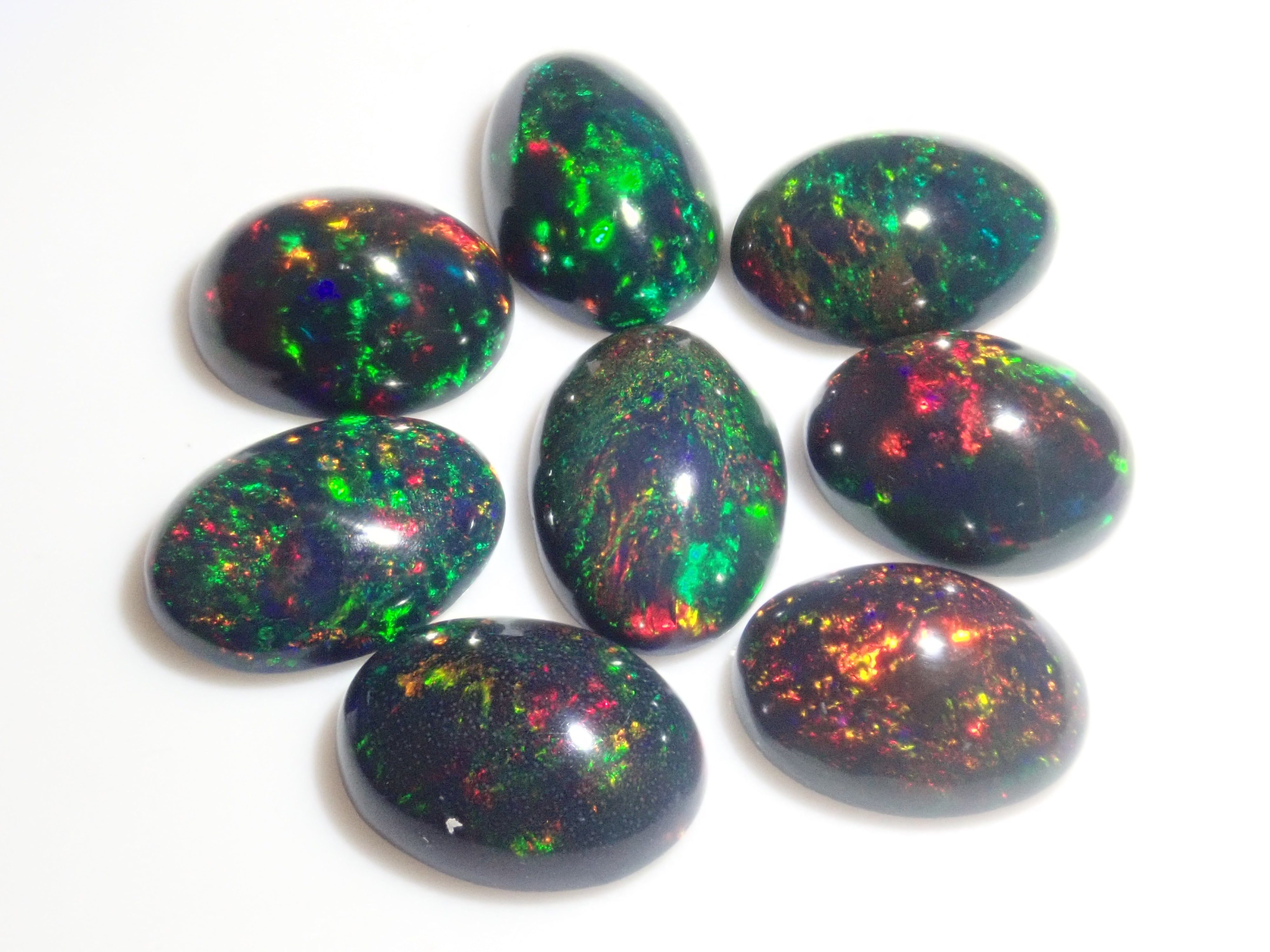 Limited to 8 stones: Ethiopian black opal (heat-treated, identification instructions included, average 2ct, approx. 11x8mm) 1 loose stone (multiple purchase discounts available)