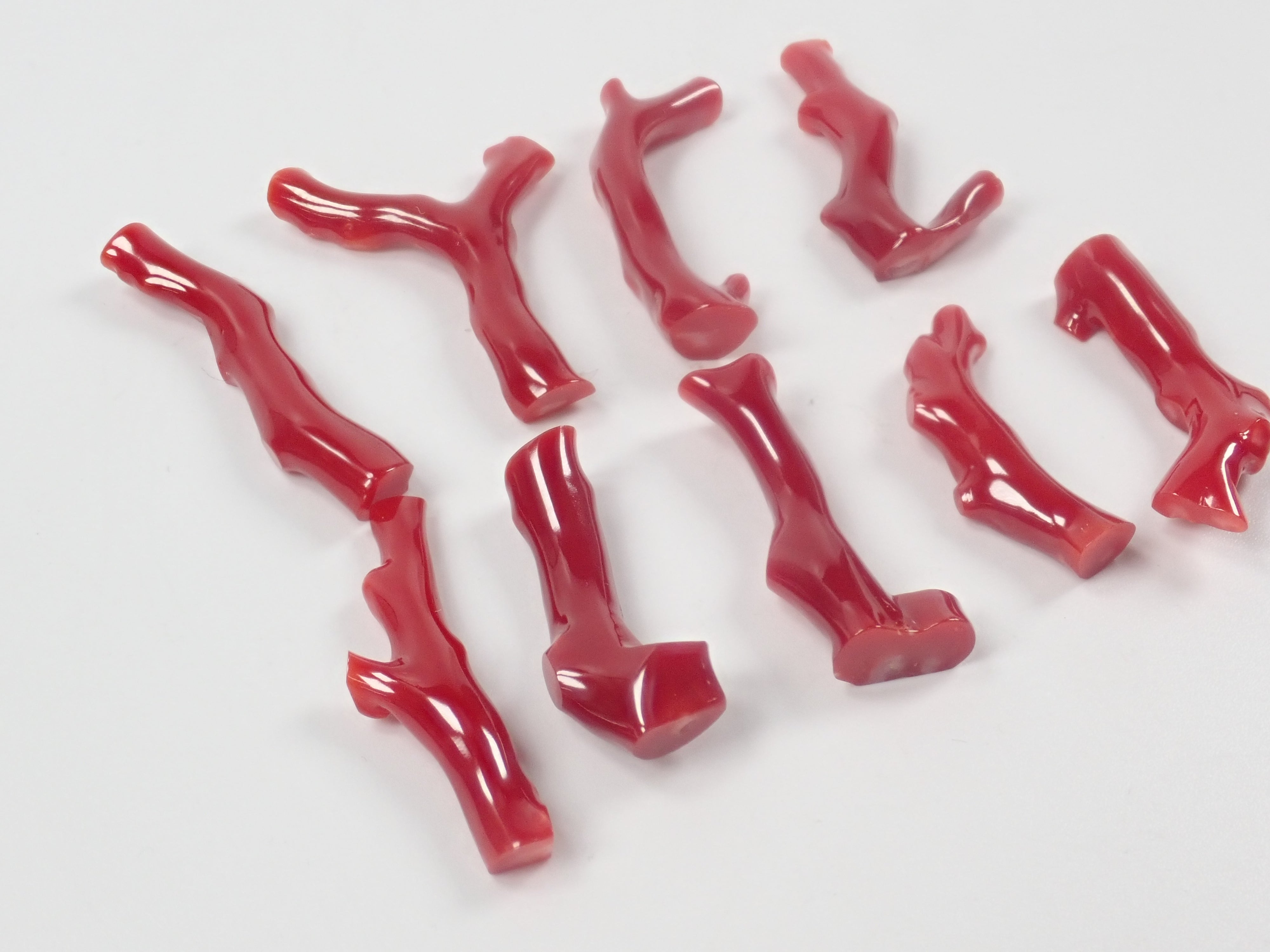 [On Sale April 18th, 10 PM JST] [Limited 9 Stones] Tosa Blood Coral Branch (Raw Coral) 1 Stone (March Birthstone, Coral, Average 7ct) [Bulk Purchase Discount Available]
