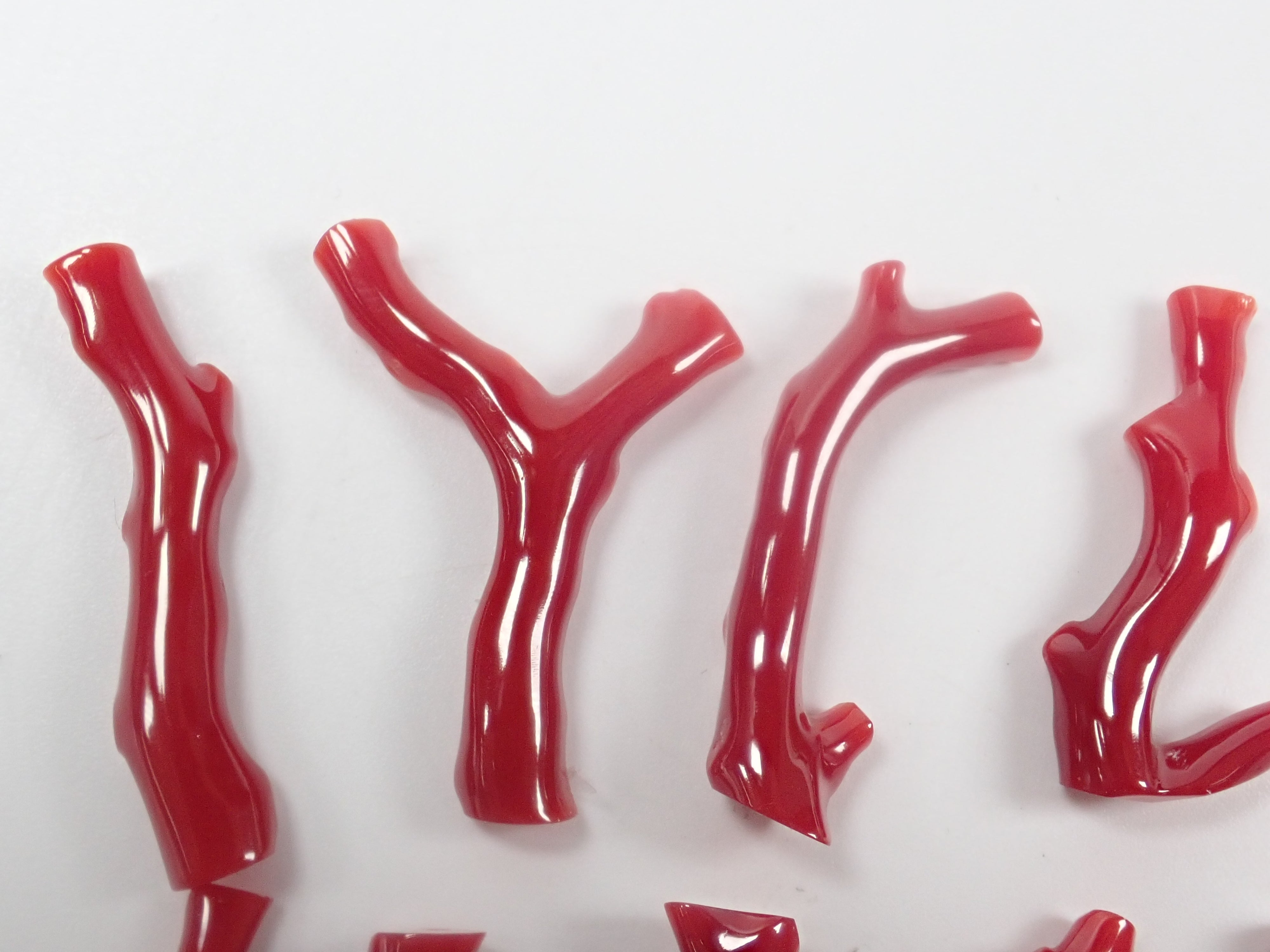 [On Sale April 18th, 10 PM JST] [Limited 9 Stones] Tosa Blood Coral Branch (Raw Coral) 1 Stone (March Birthstone, Coral, Average 7ct) [Bulk Purchase Discount Available]