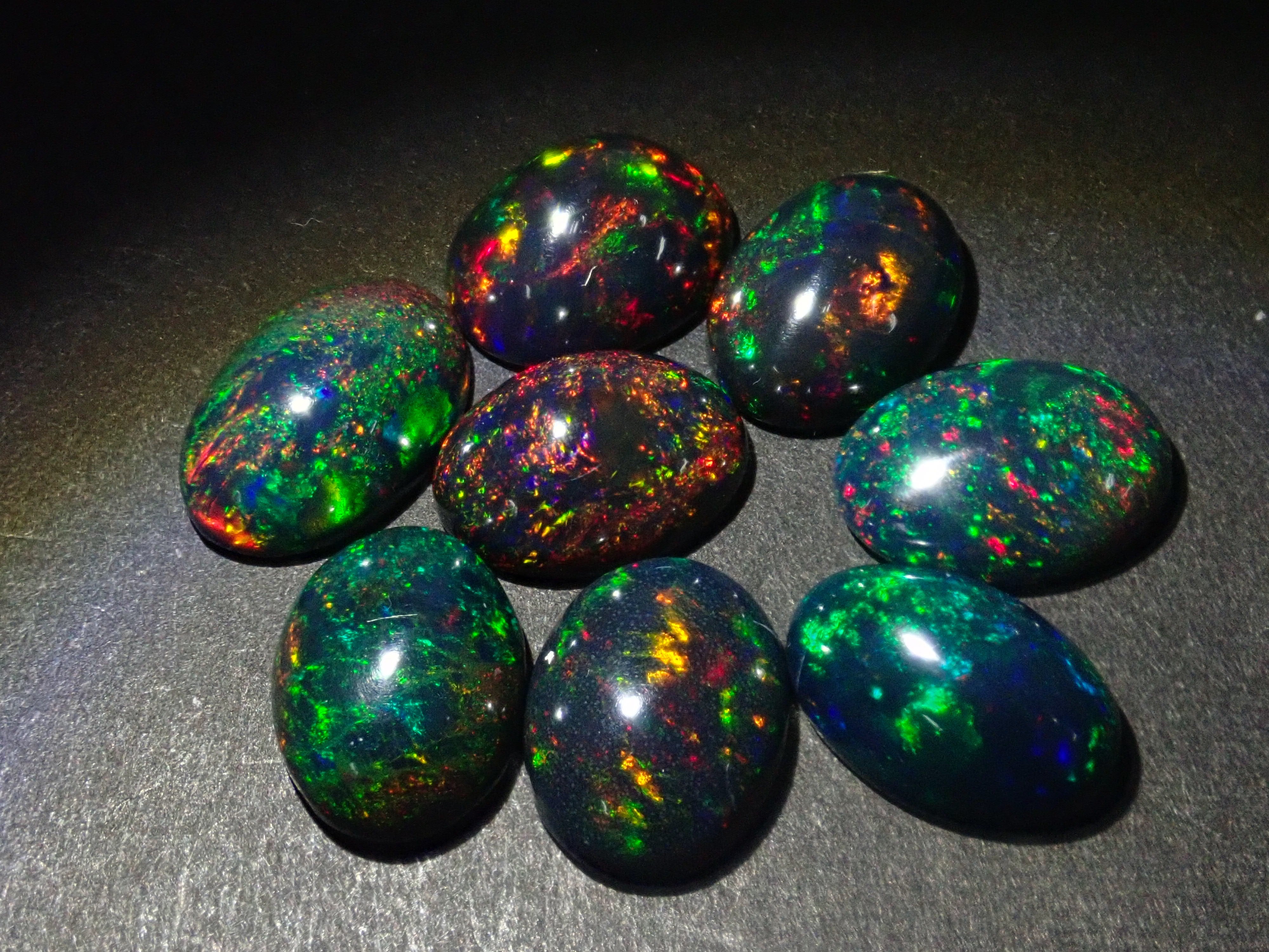 Limited to 8 stones: Ethiopian black opal (heat-treated, identification instructions included, average 2ct, approx. 11x8mm) 1 loose stone (multiple purchase discounts available)